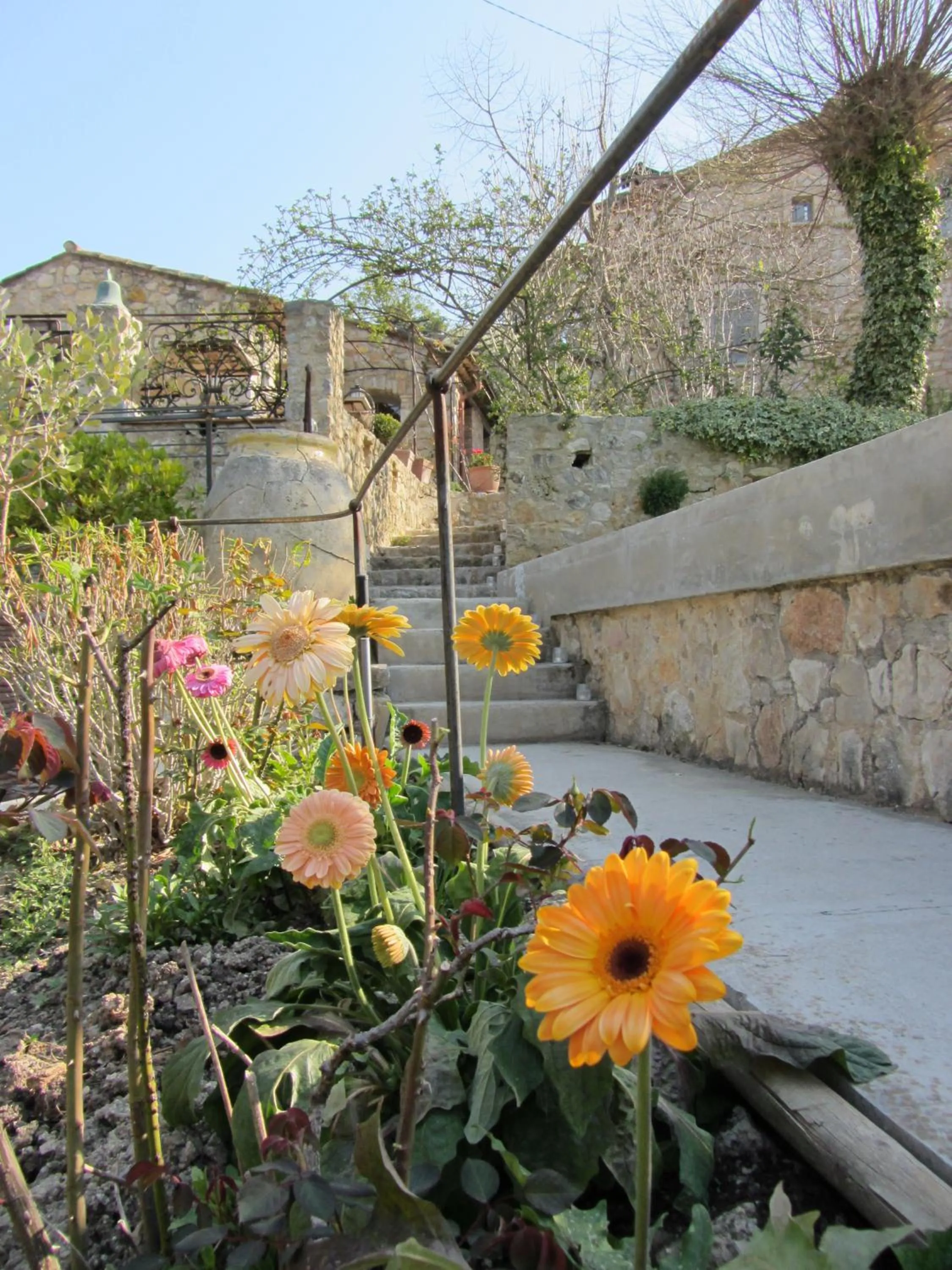 Garden in Les Rosées