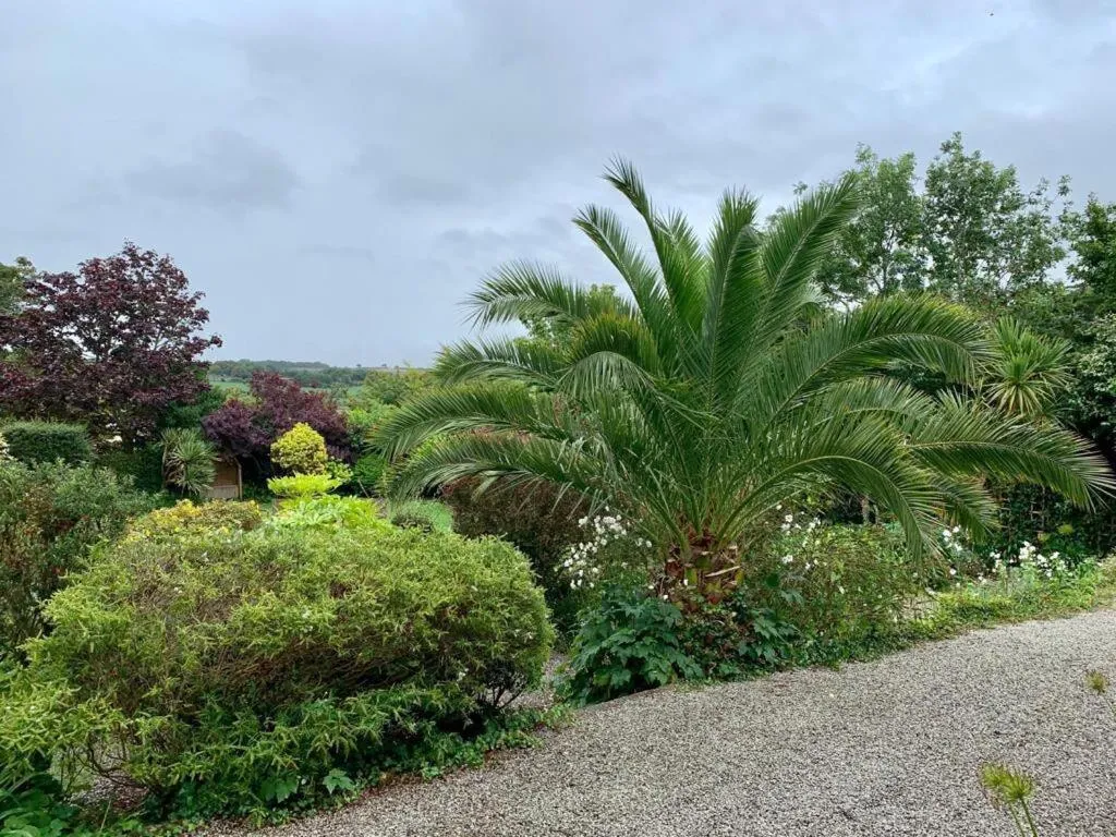 Garden in Penquite Holiday Accommodation