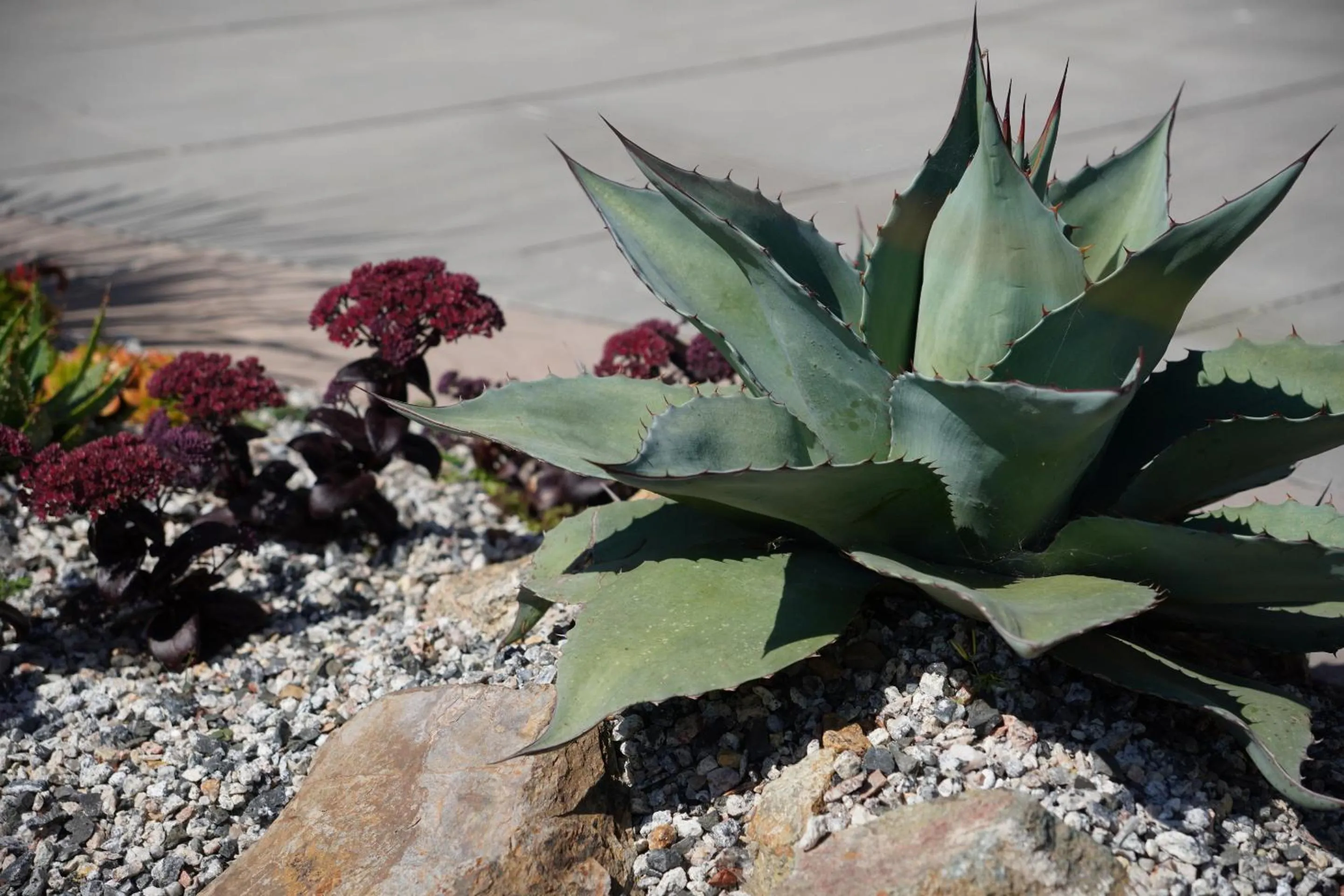 Patio in Penquite Holiday Accommodation