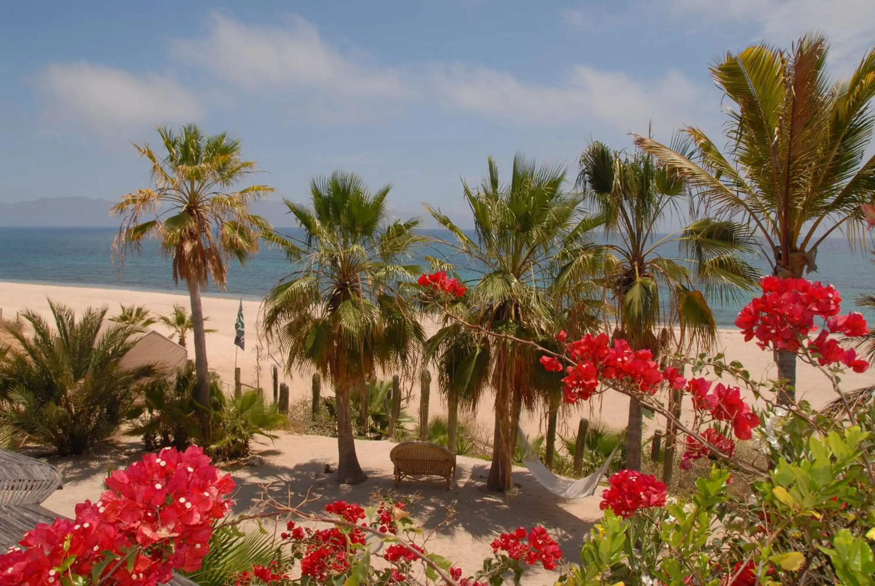 Ocean View Room in Ventana Bay Resort Ocean View Room in Ventana Bay Resort