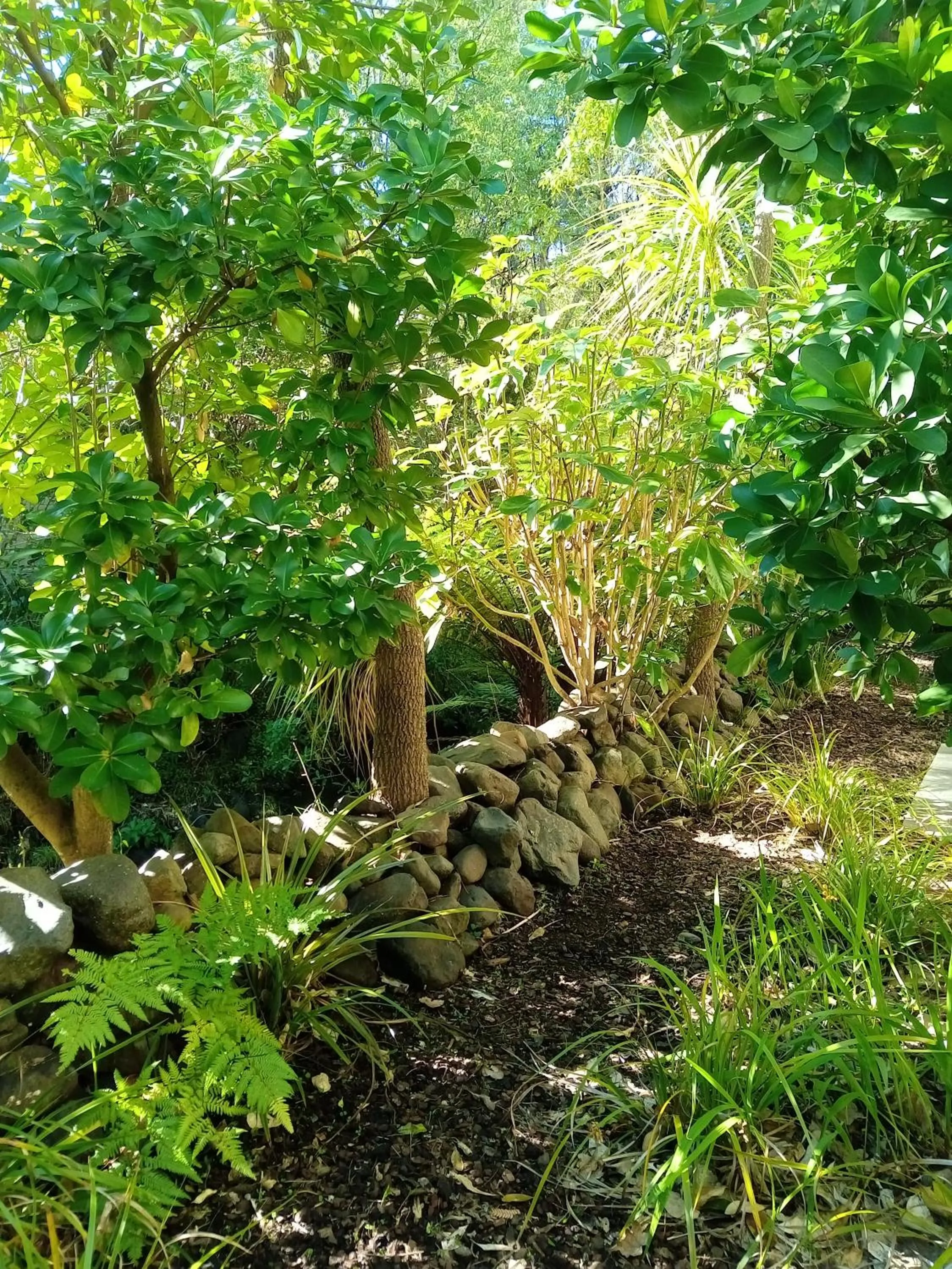 Garden view in La Rochelle Motel