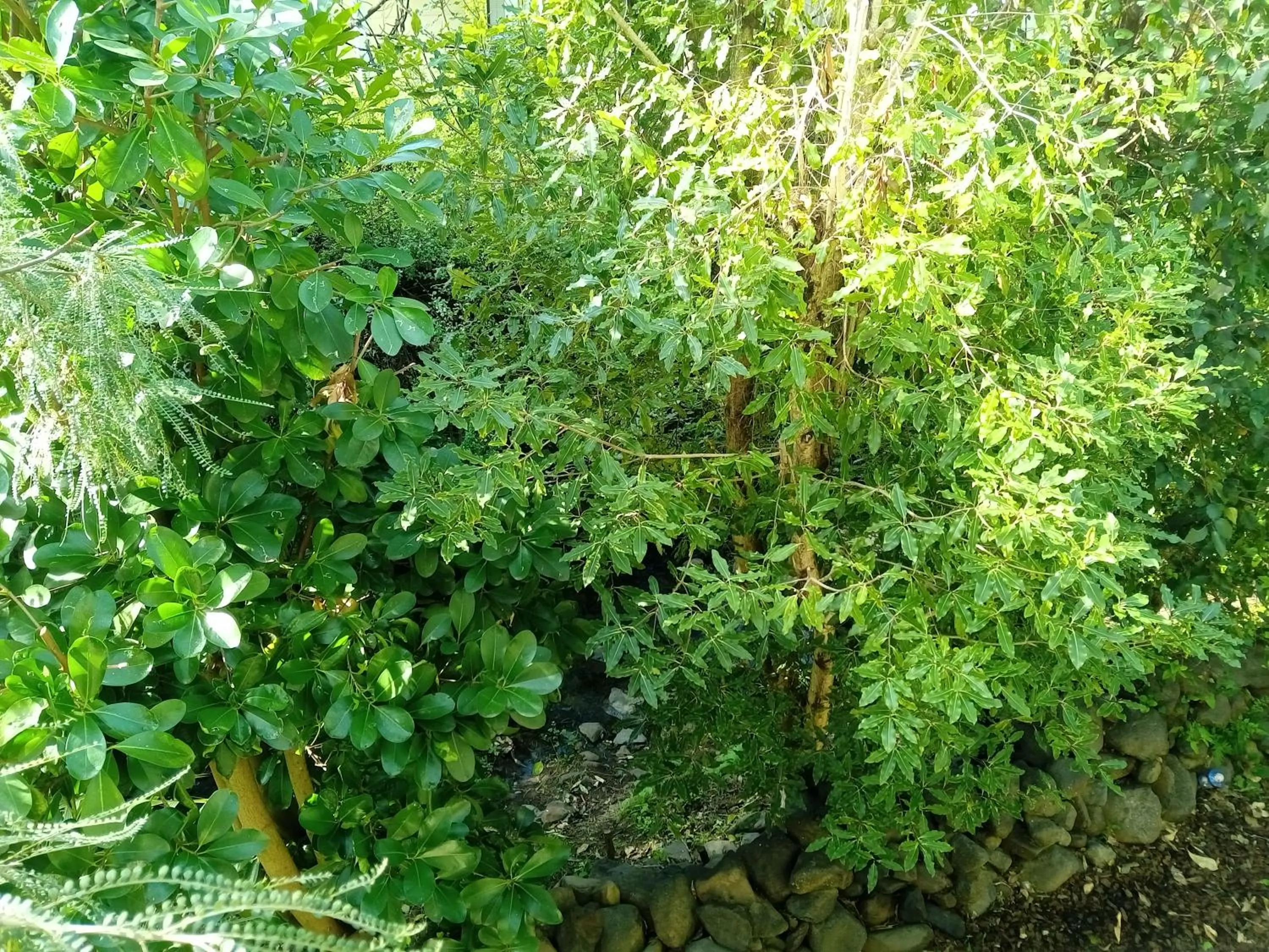 Garden view in La Rochelle Motel