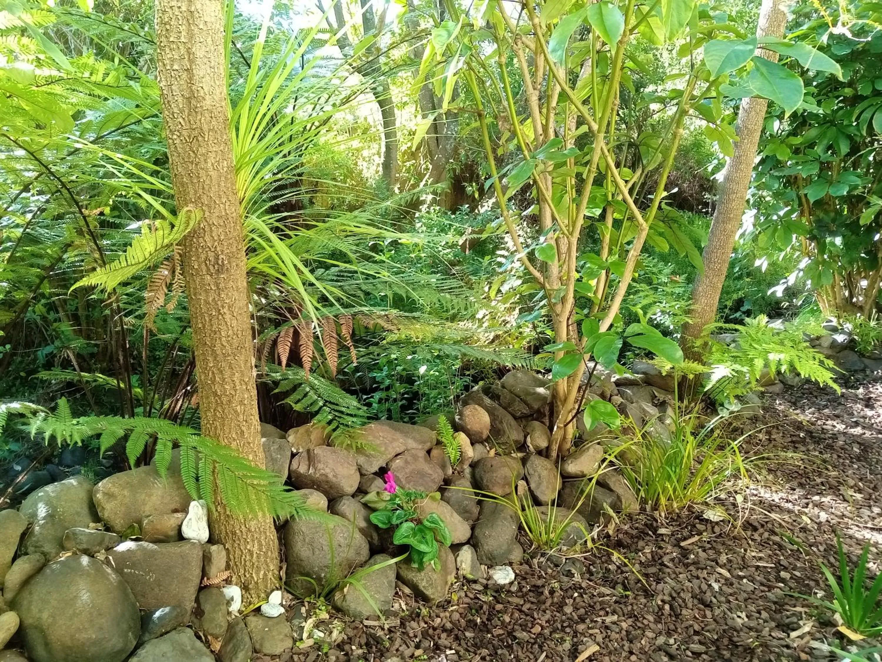 Natural landscape in La Rochelle Motel