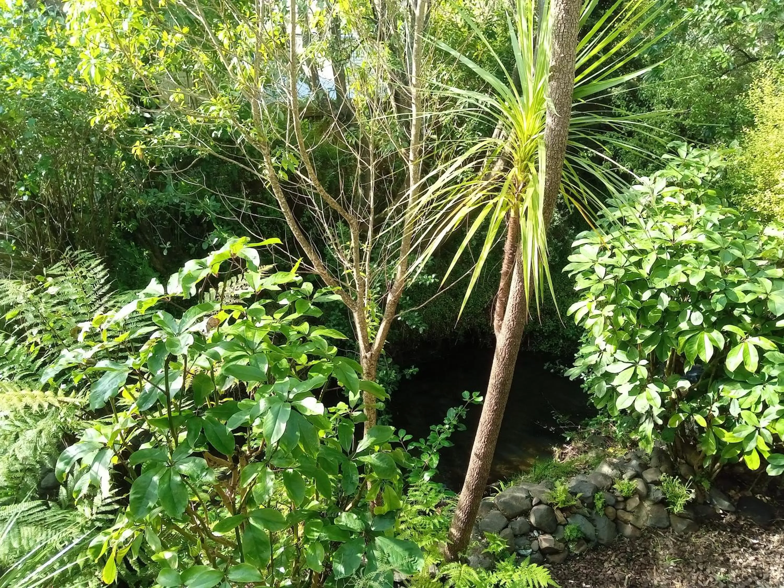 Garden view in La Rochelle Motel