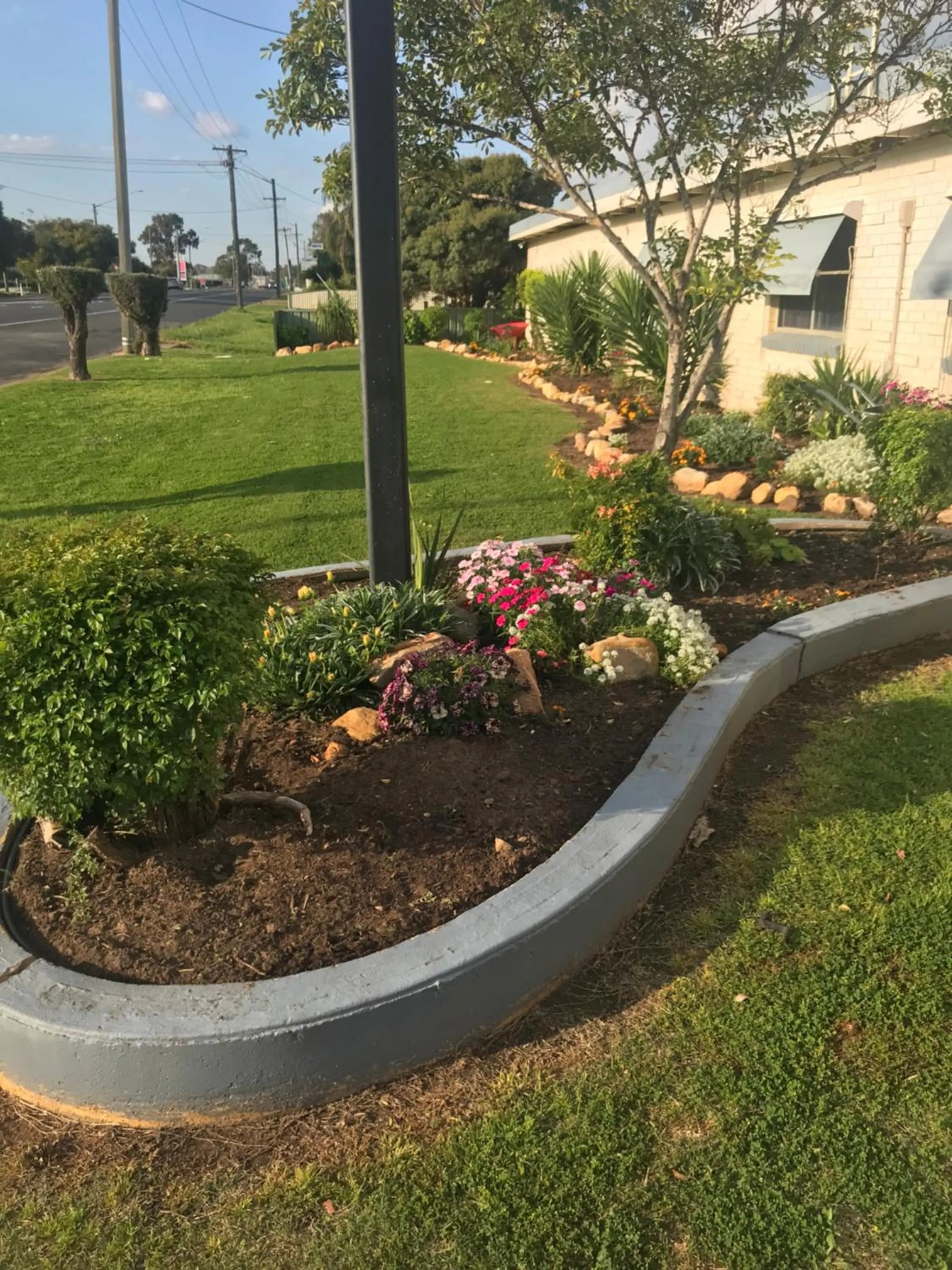 Garden view in Kaputar Motel