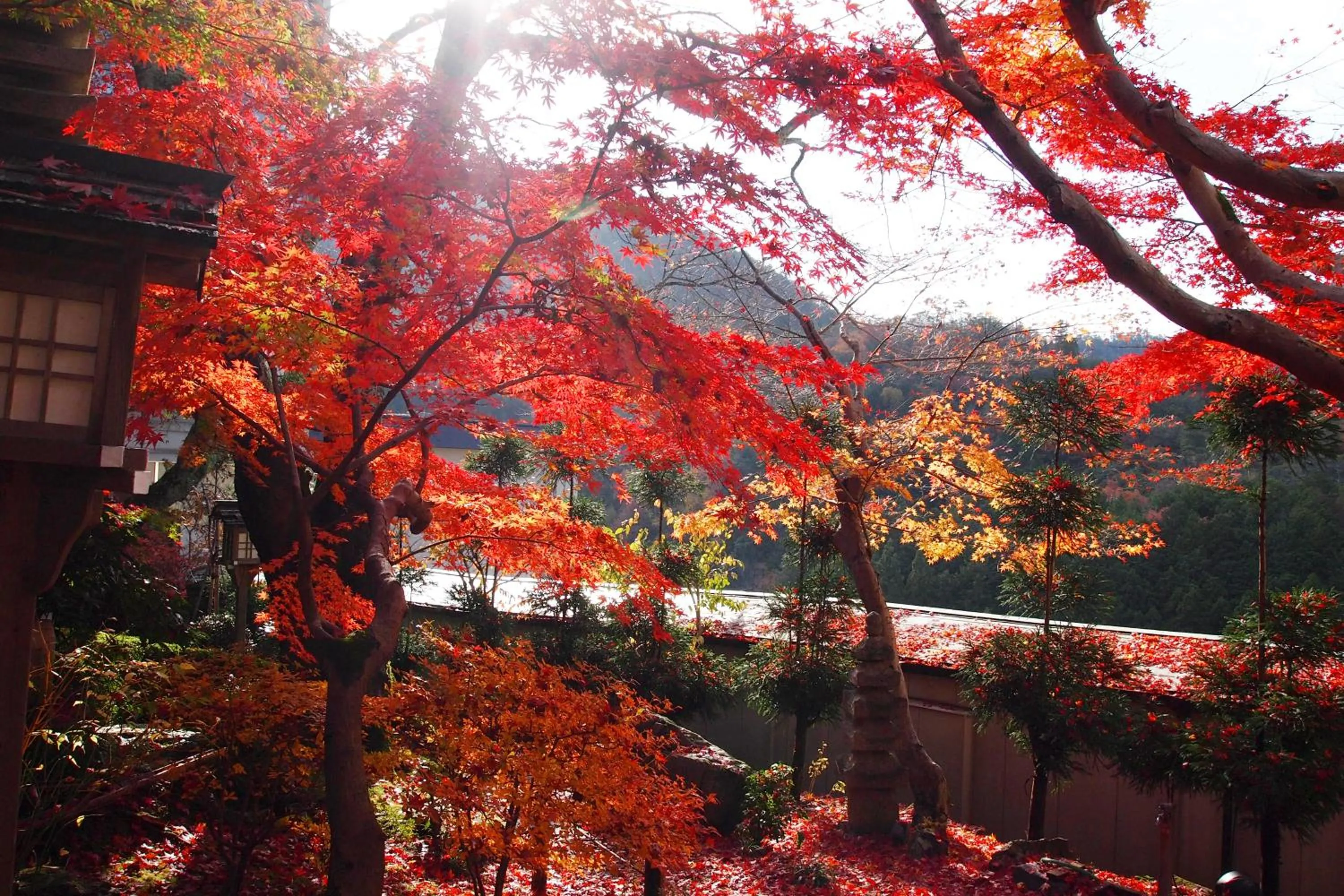 Inner courtyard view in Ryokan Nenrinbo