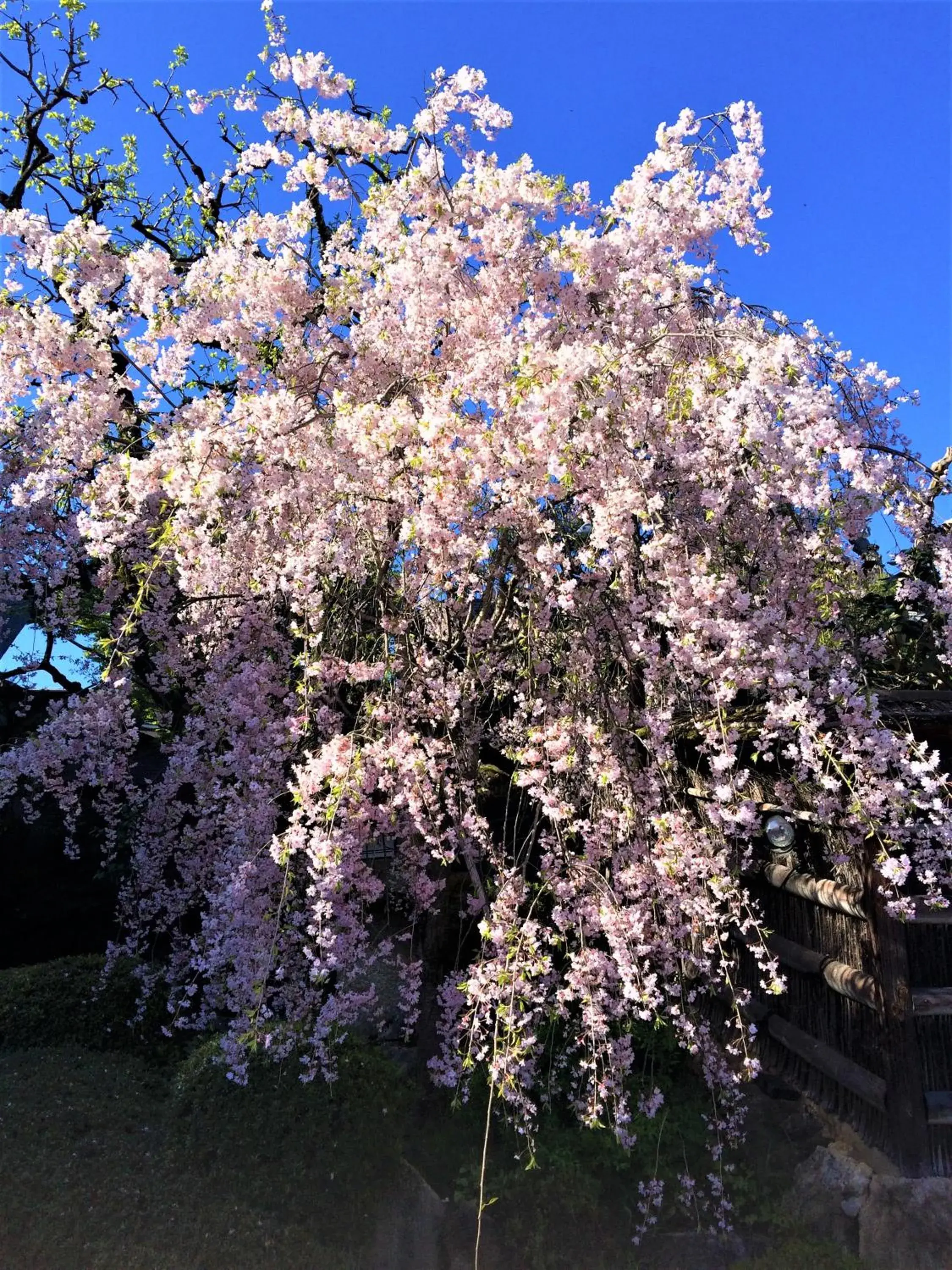 Property building in Ryokan Nenrinbo Property building in Ryokan Nenrinbo