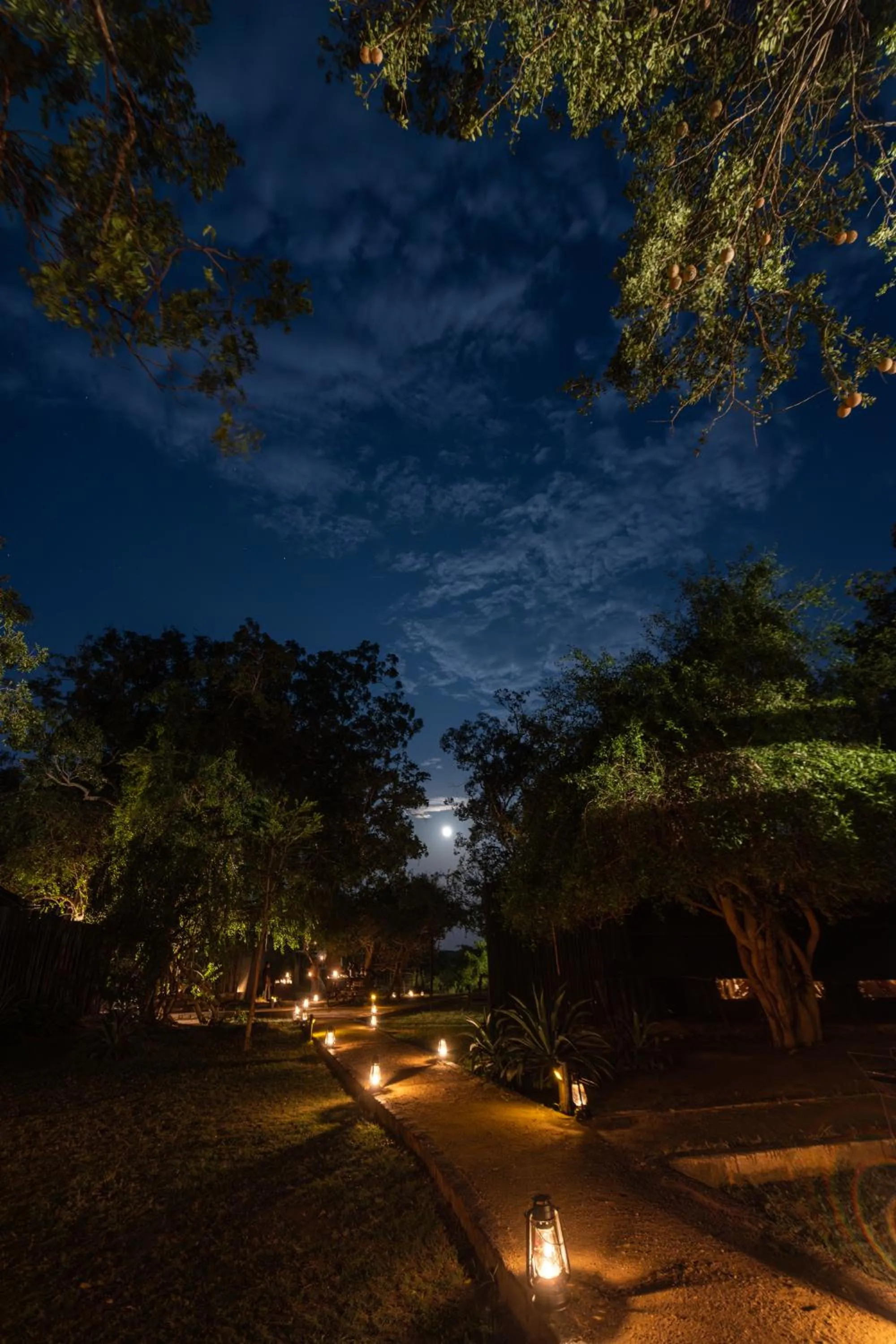 Night in Leopard Trails Yala