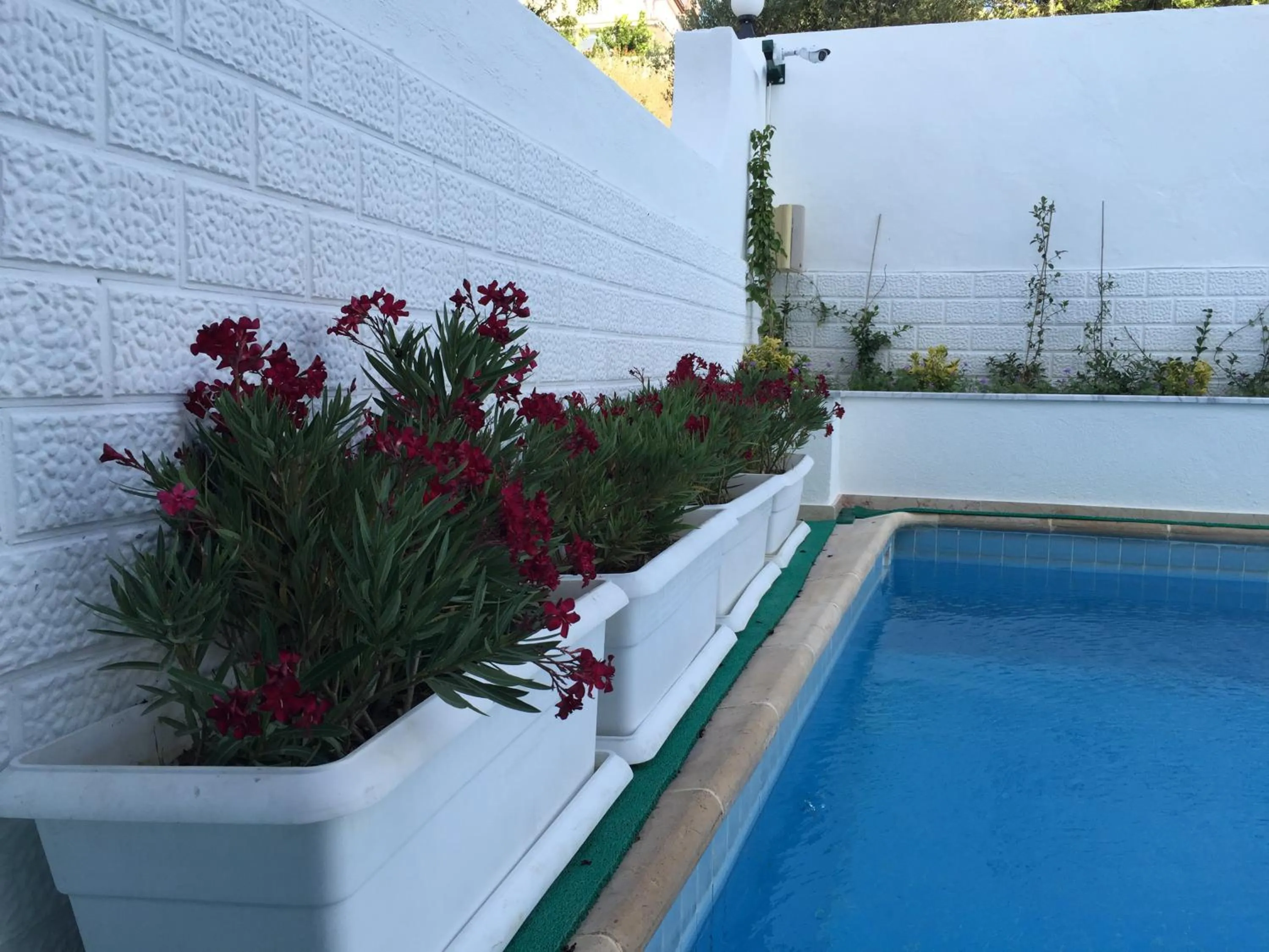 Swimming pool in Cicek Apart Hotel