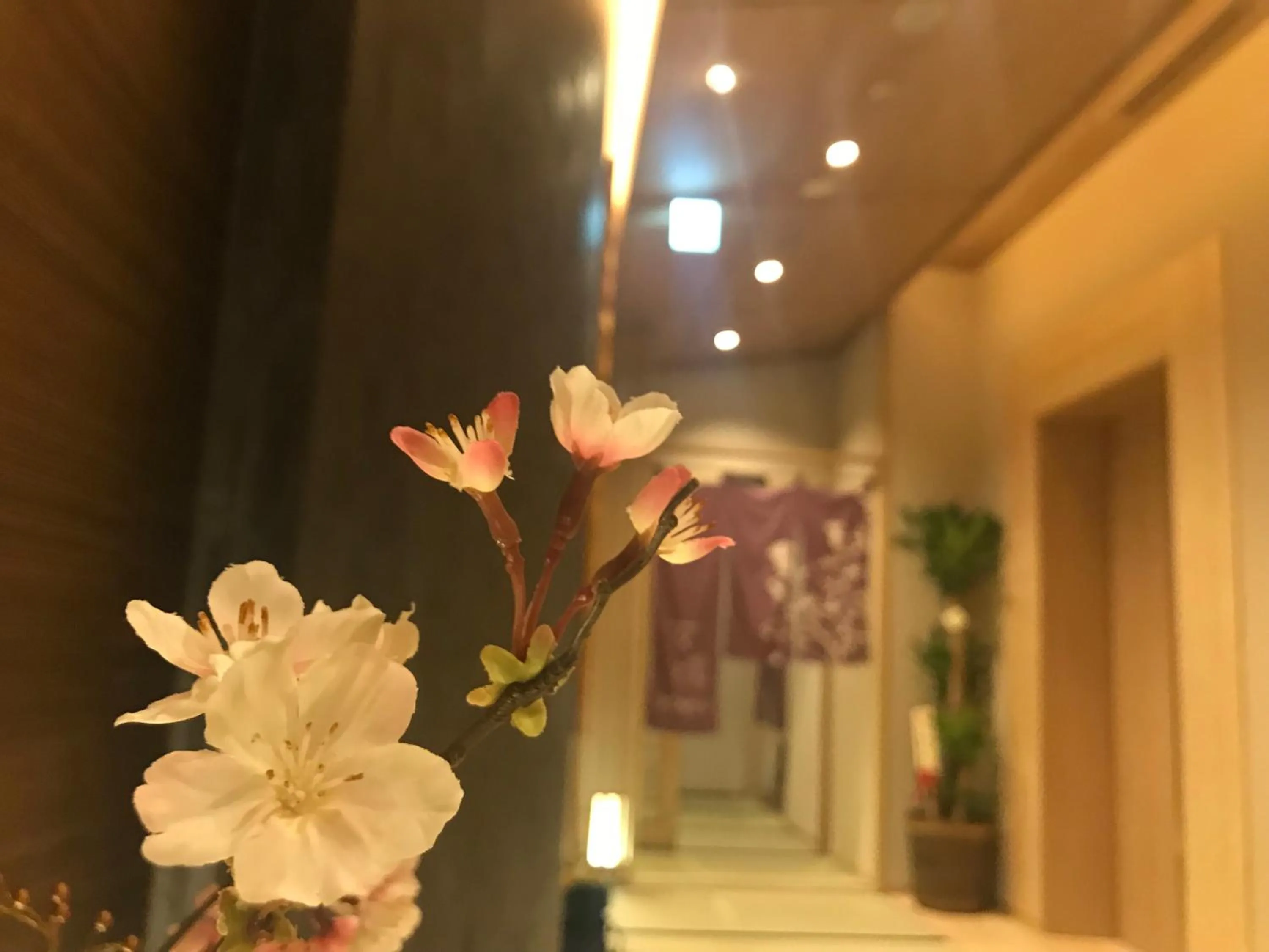 Communal lounge/ TV room in Onyado Nono Asakusa Natural Hot Spring