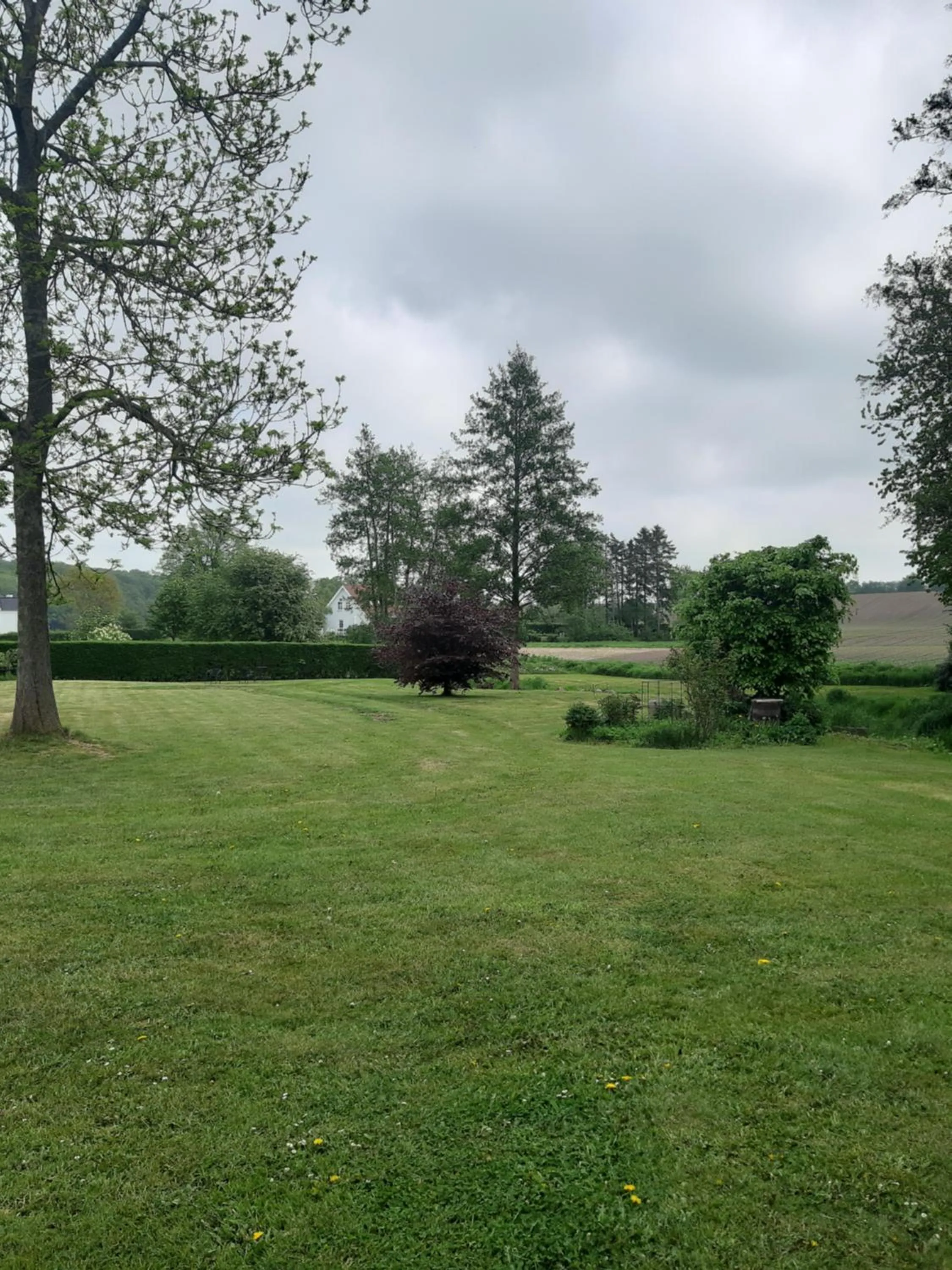 Garden in Baekgaarden B&B