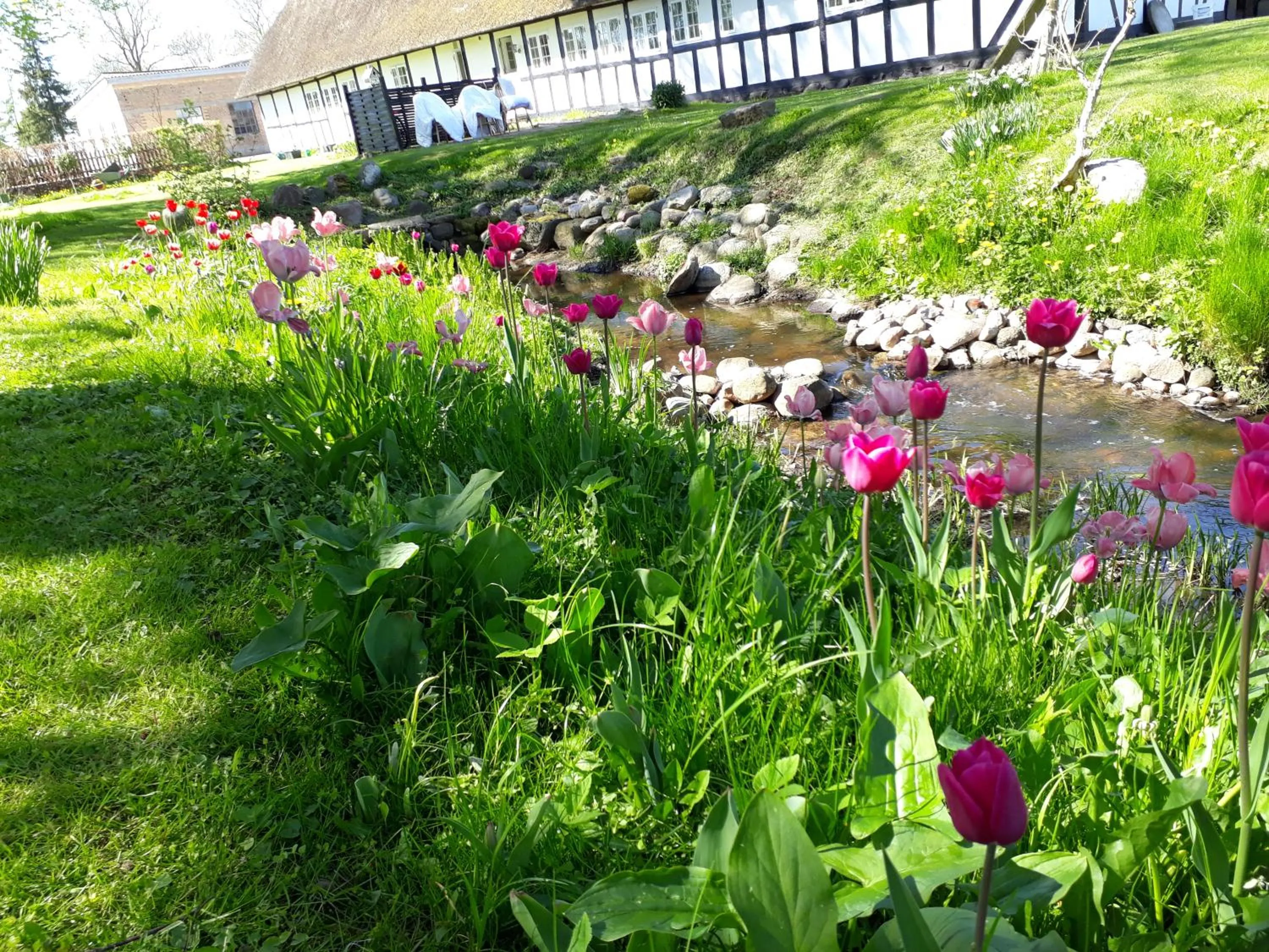 Spring in Baekgaarden B&B