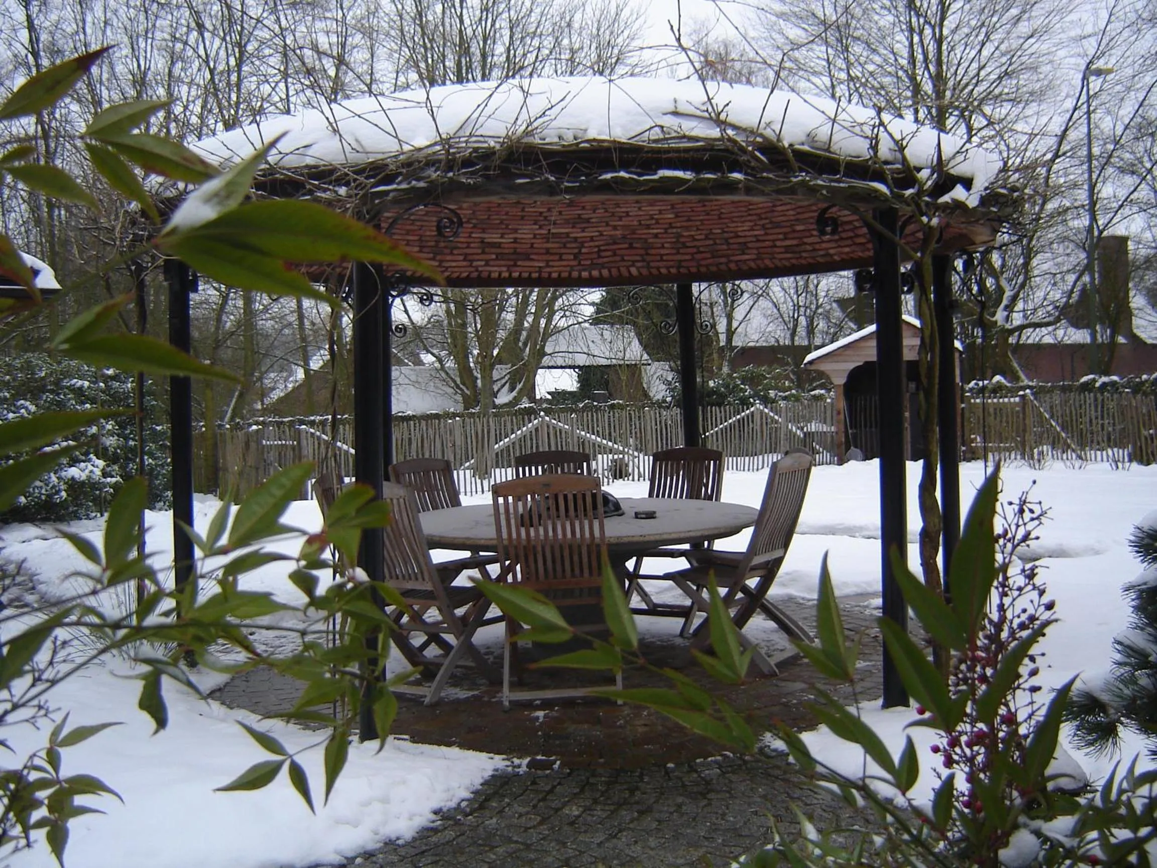 Garden in B&B Wisteria