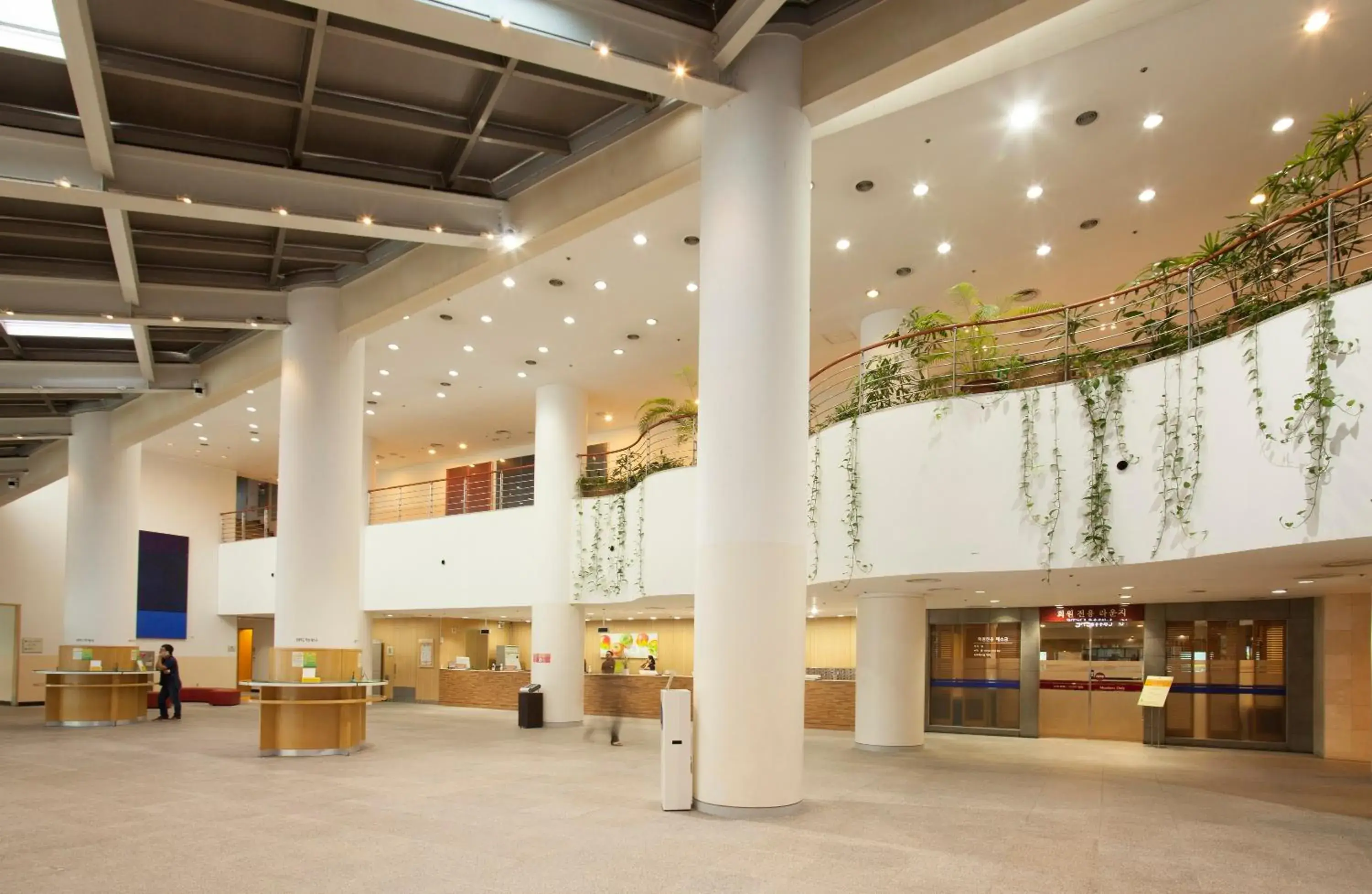 Lobby or reception in Phoenix Resort Pyeongchang Lobby or reception in Phoenix Resort Pyeongchang