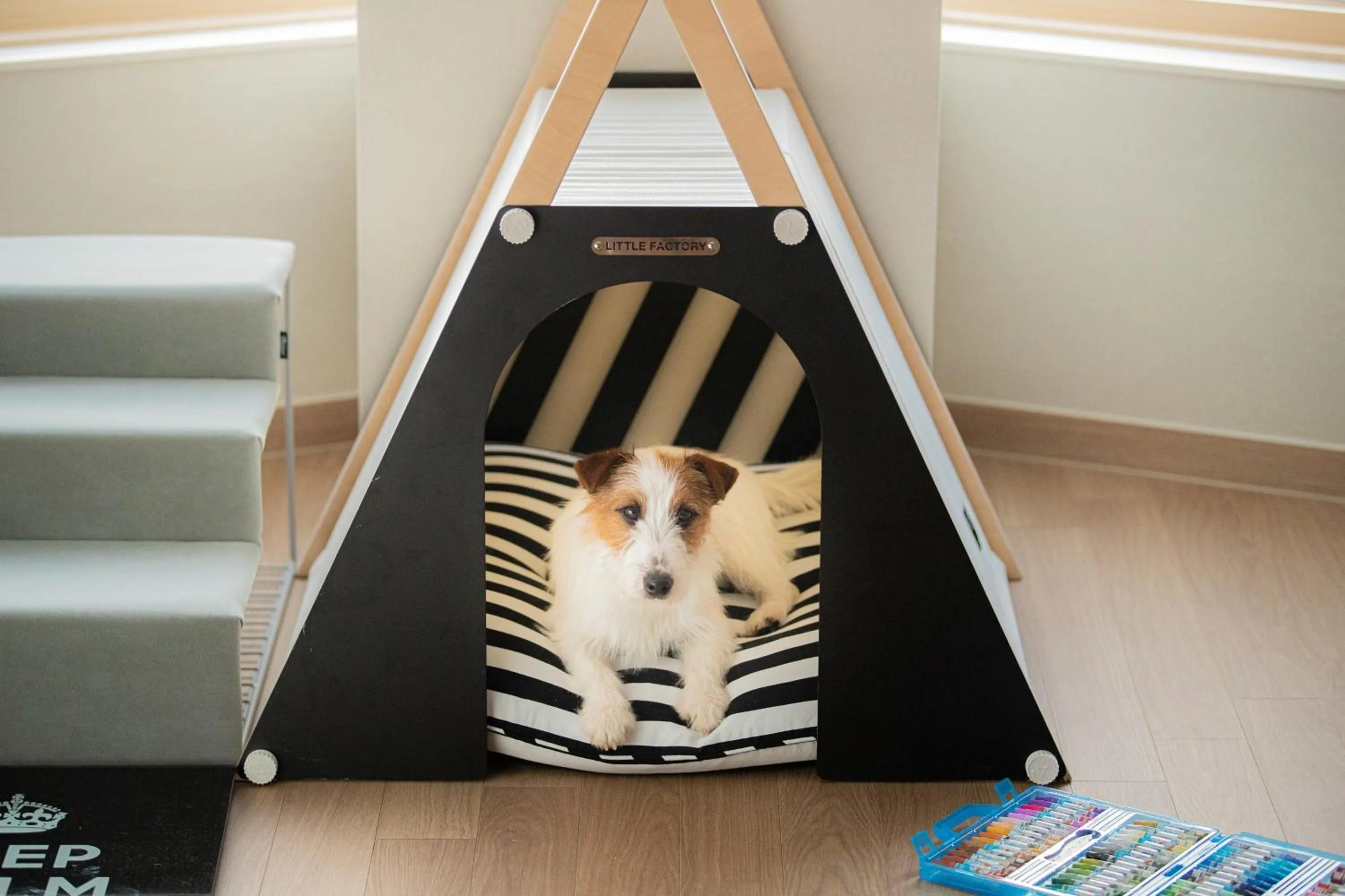 Animals in Phoenix Resort Pyeongchang