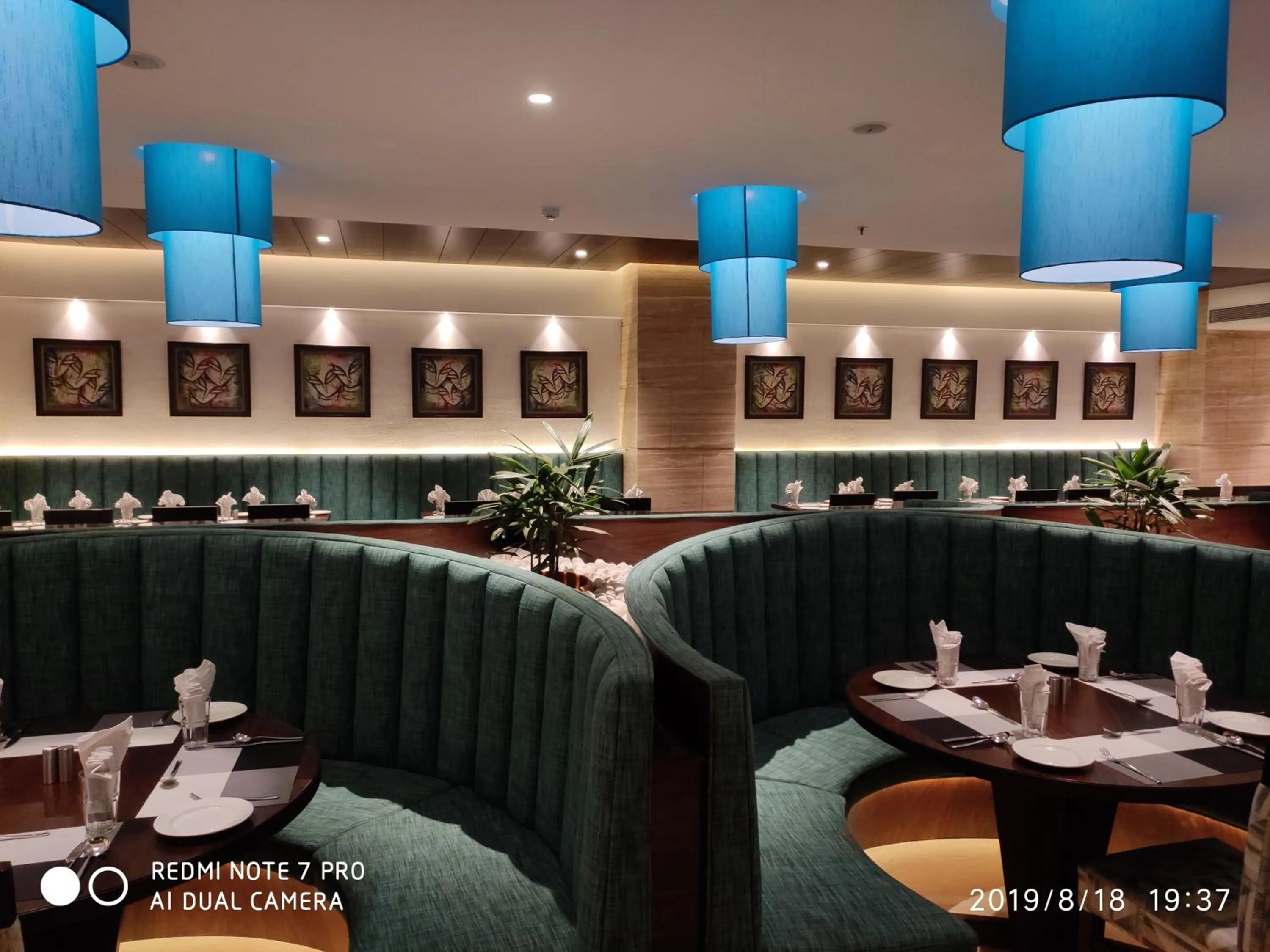 Restaurant/places to eat in Novanta Jamshedpur