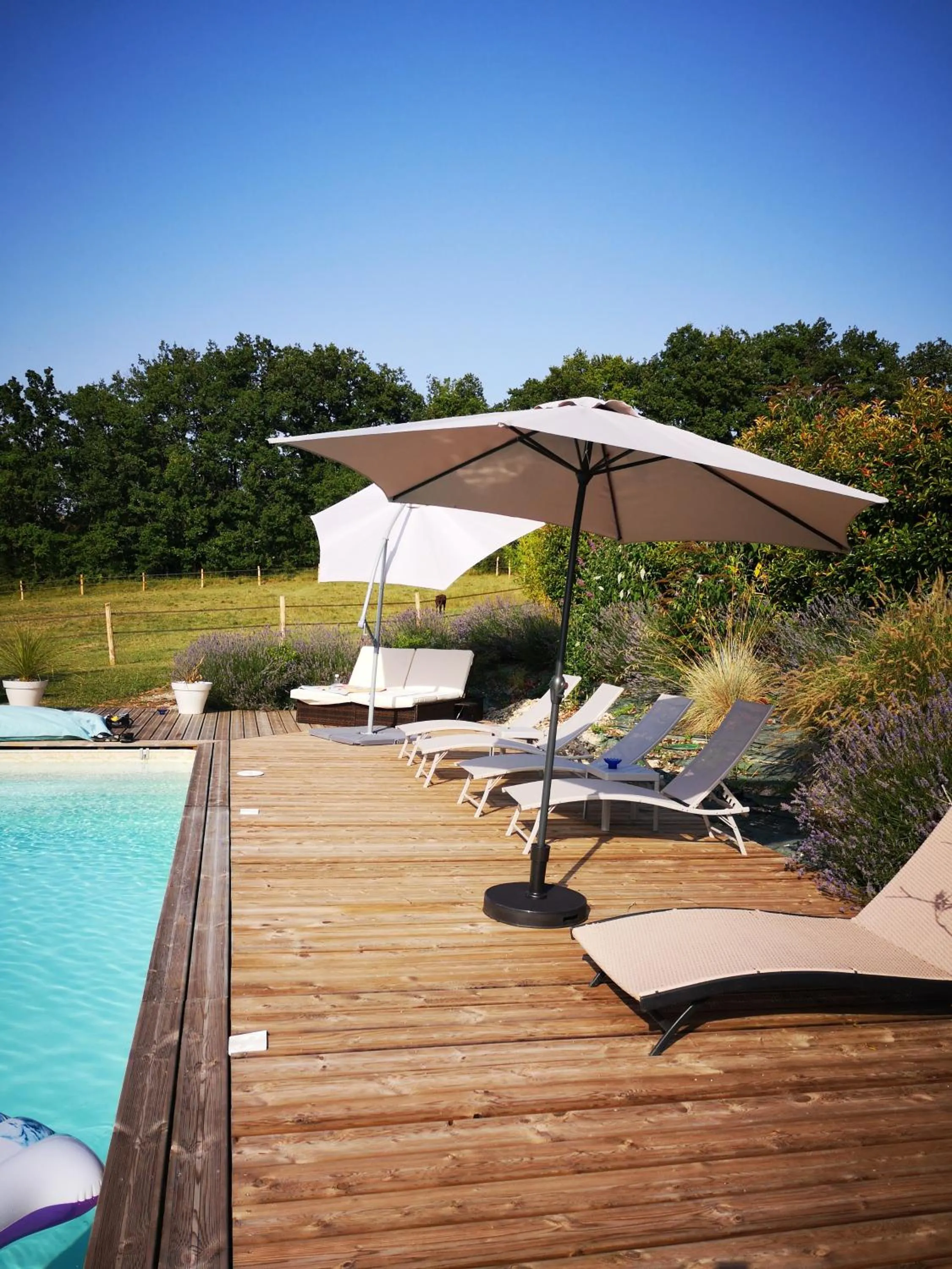 Swimming pool in Castel Mazars