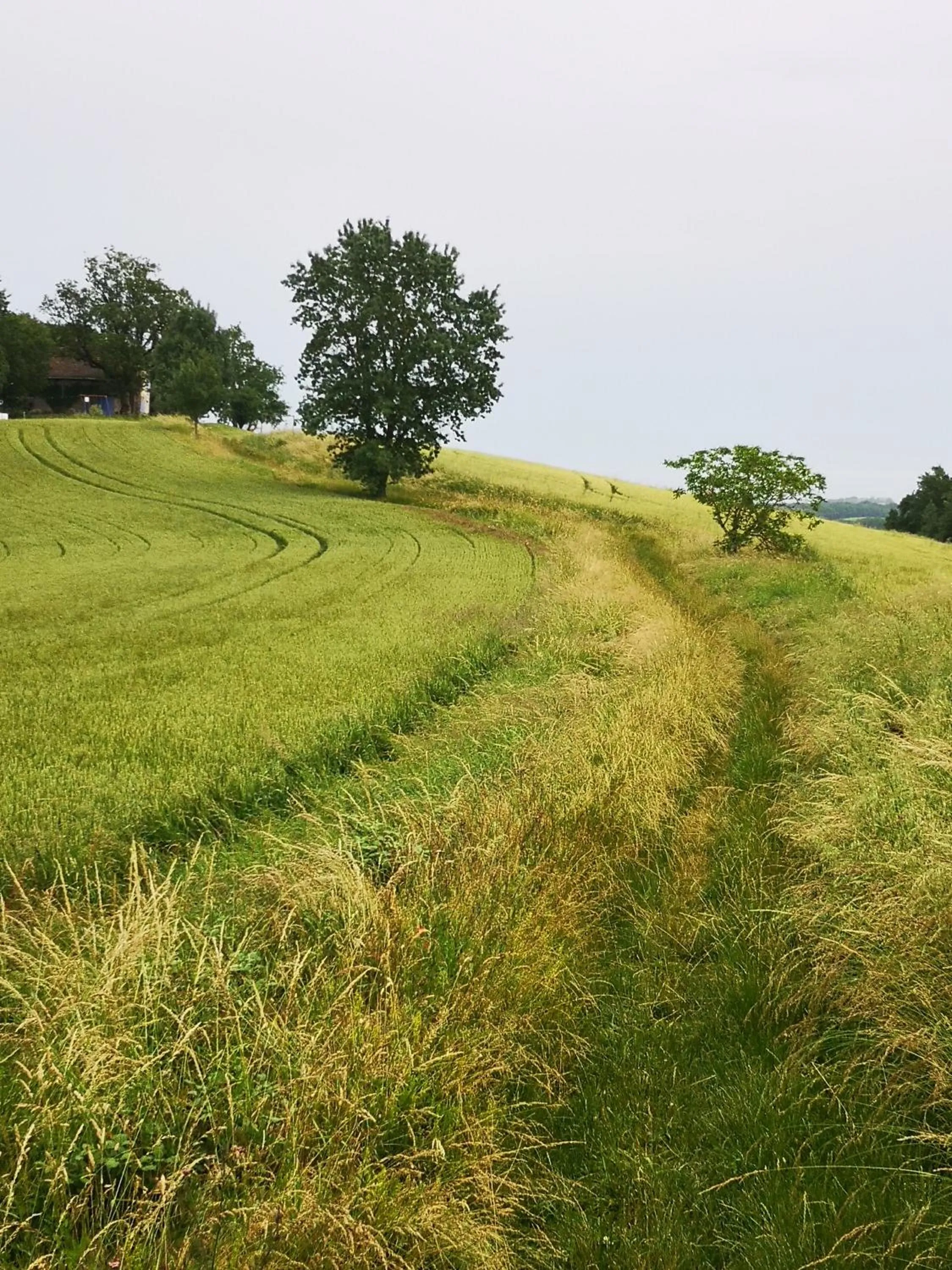 Hiking in Castel Mazars