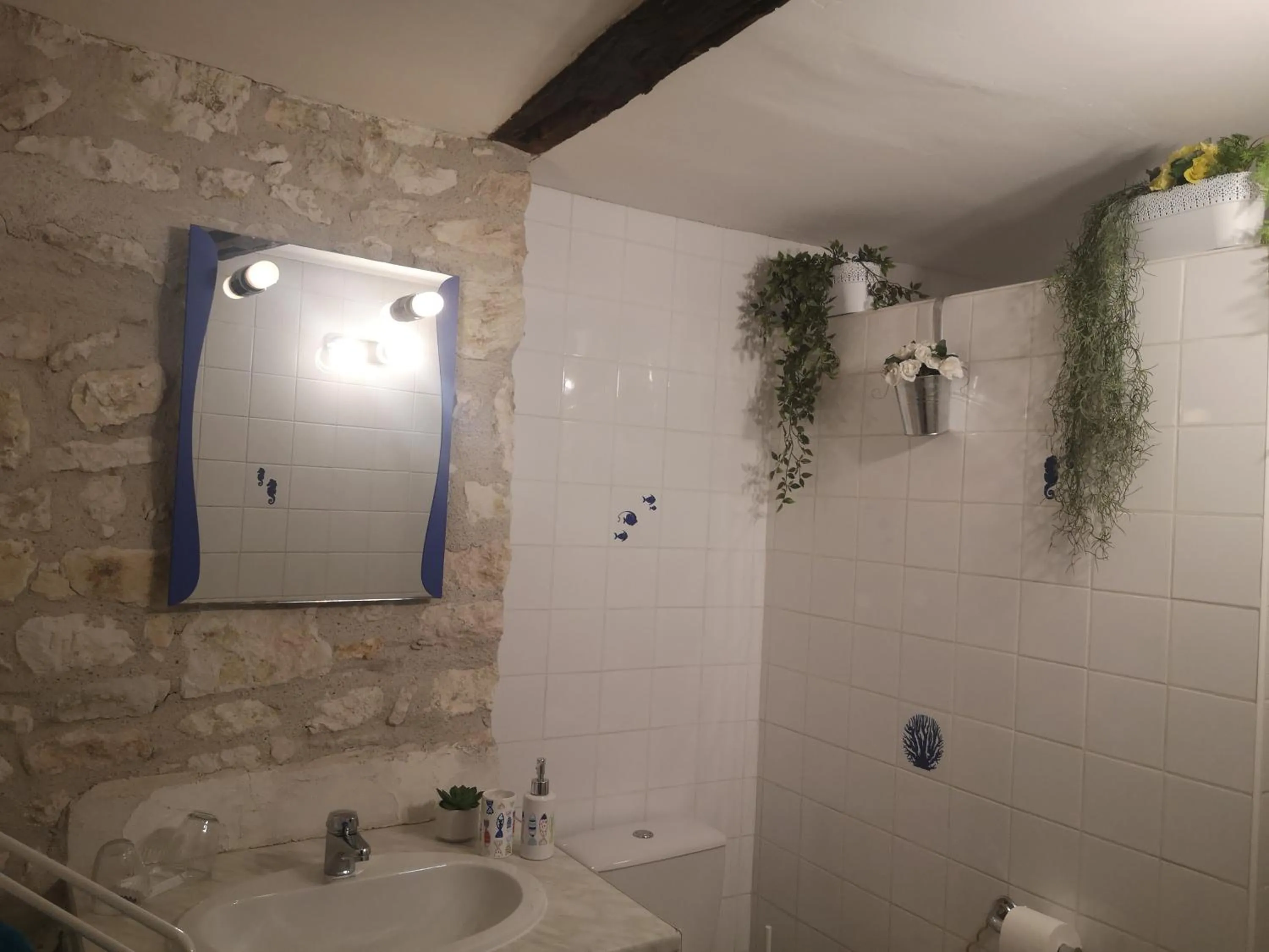 Shower in Castel Mazars