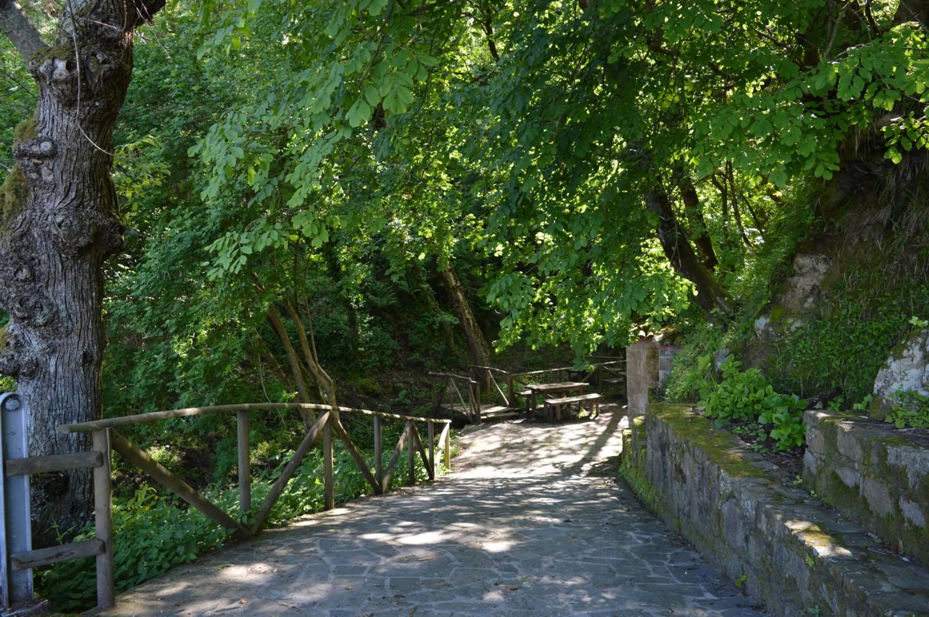 Diving in b&b Don Peppe - Don Ilario