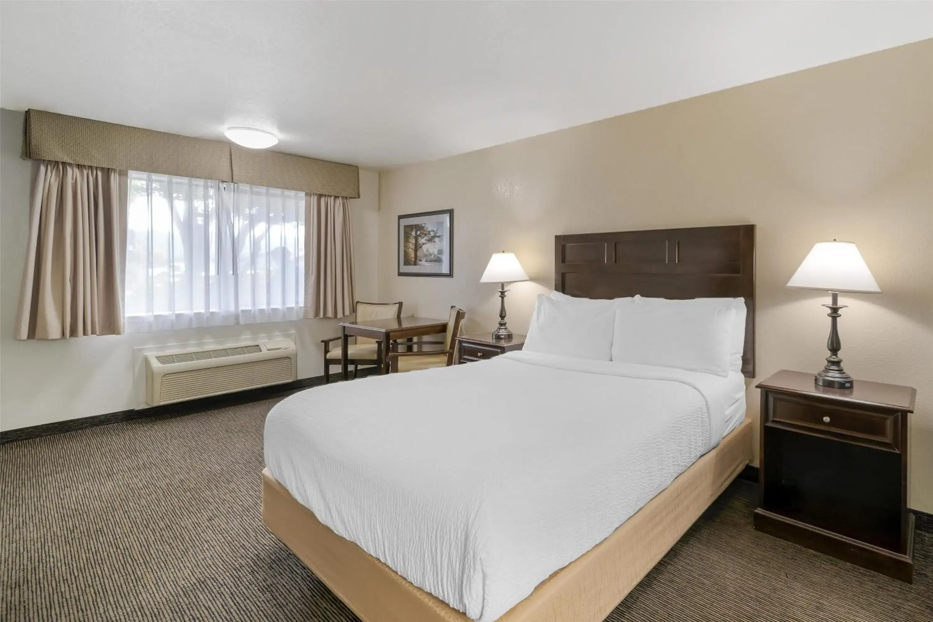 Bedroom, Bed in Best Western Arcata Inn Bedroom, Bed in Best Western Arcata Inn