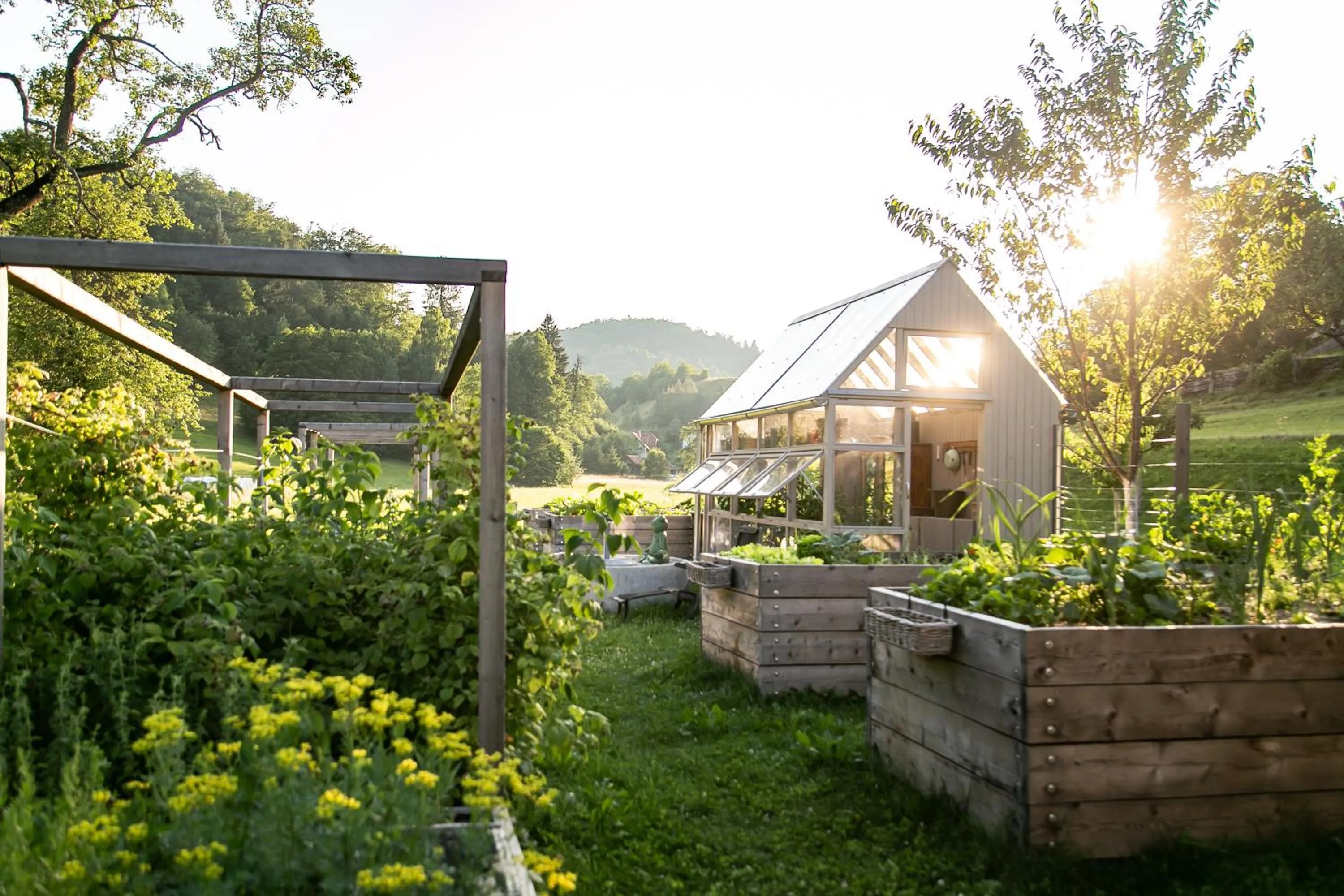 Garden view in Garden living