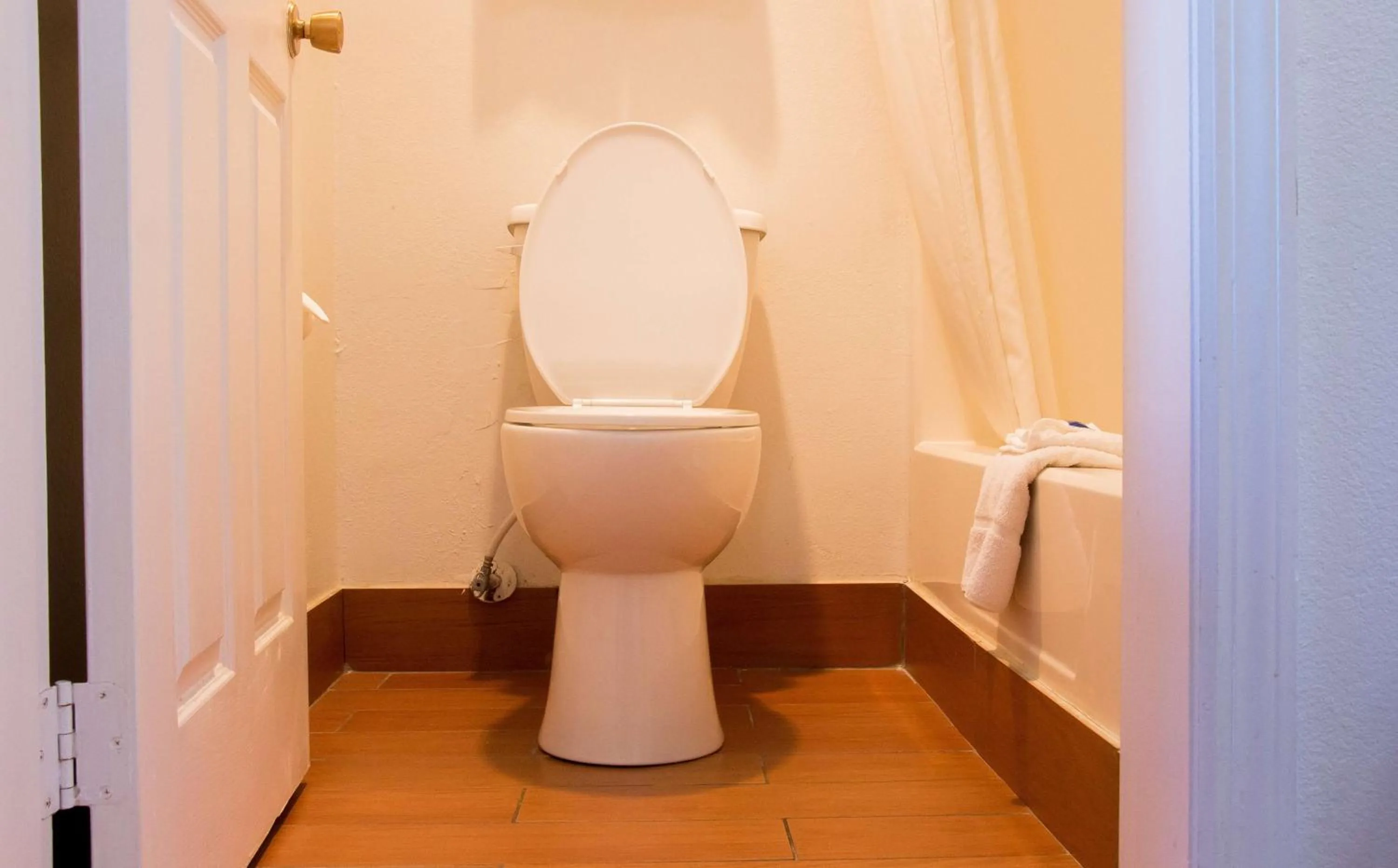 Toilet in Motel 6-Cookeville, TN