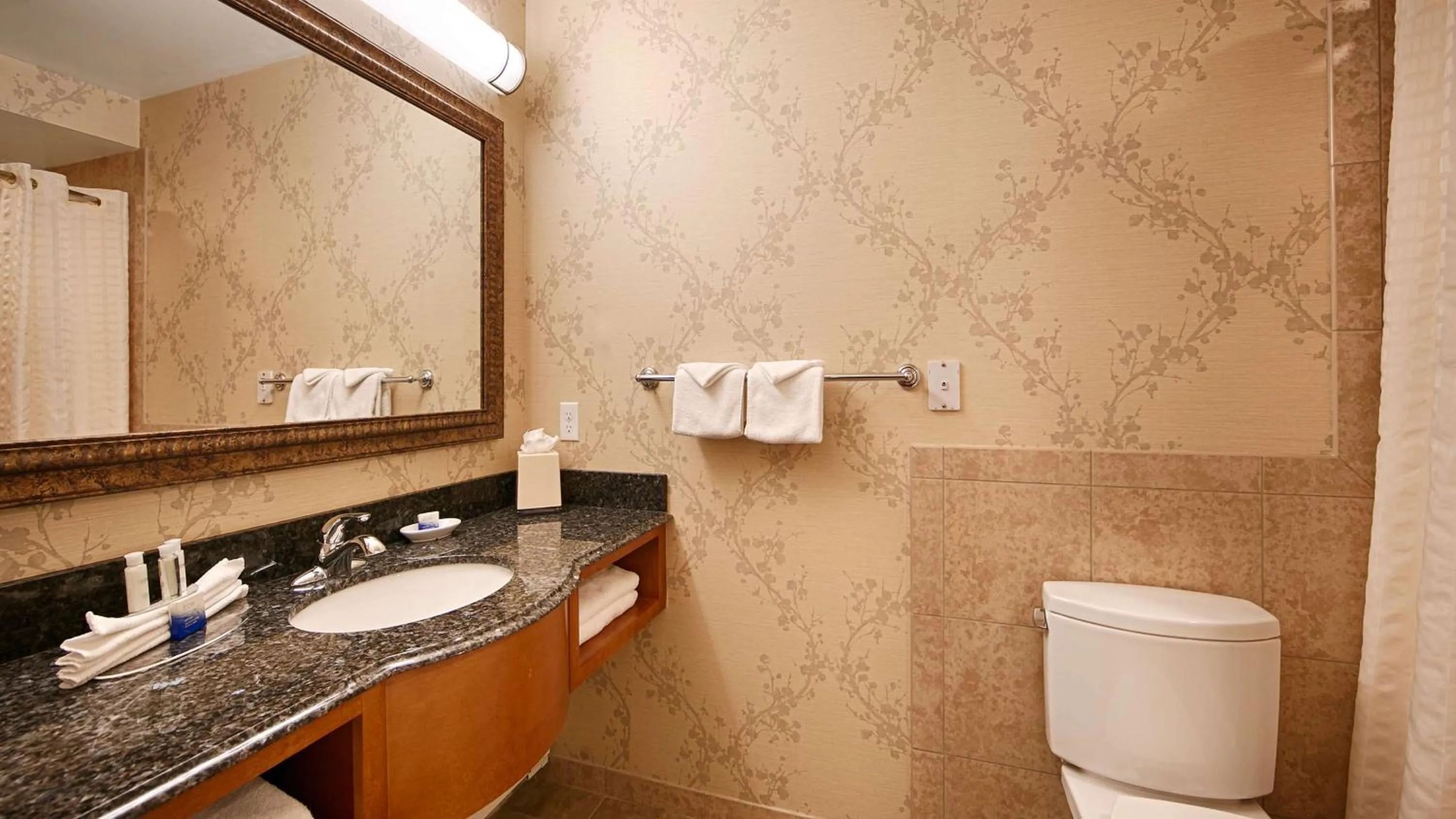Bathroom in Best Western Plus Silver Saddle Inn