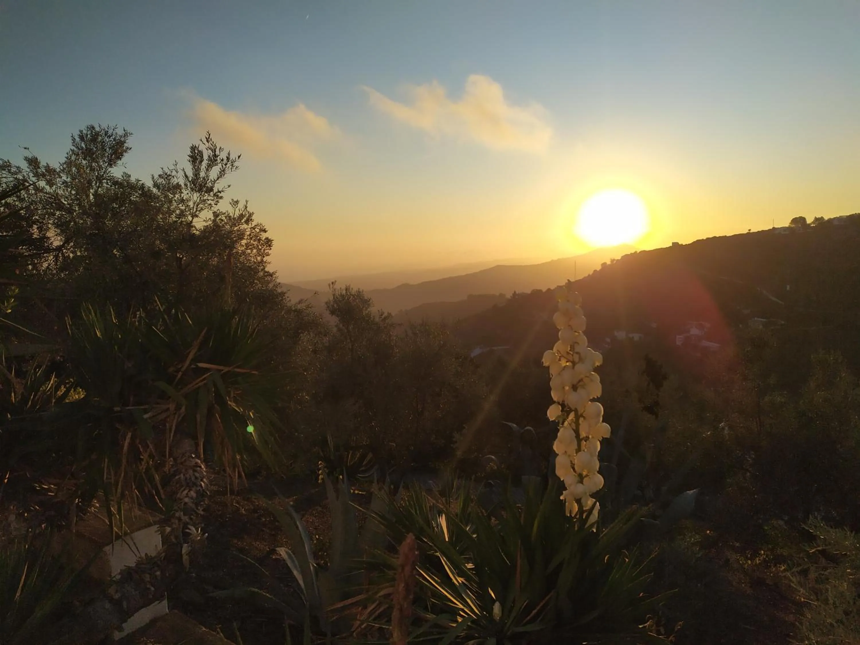 Natural landscape in B&B la Madrugada