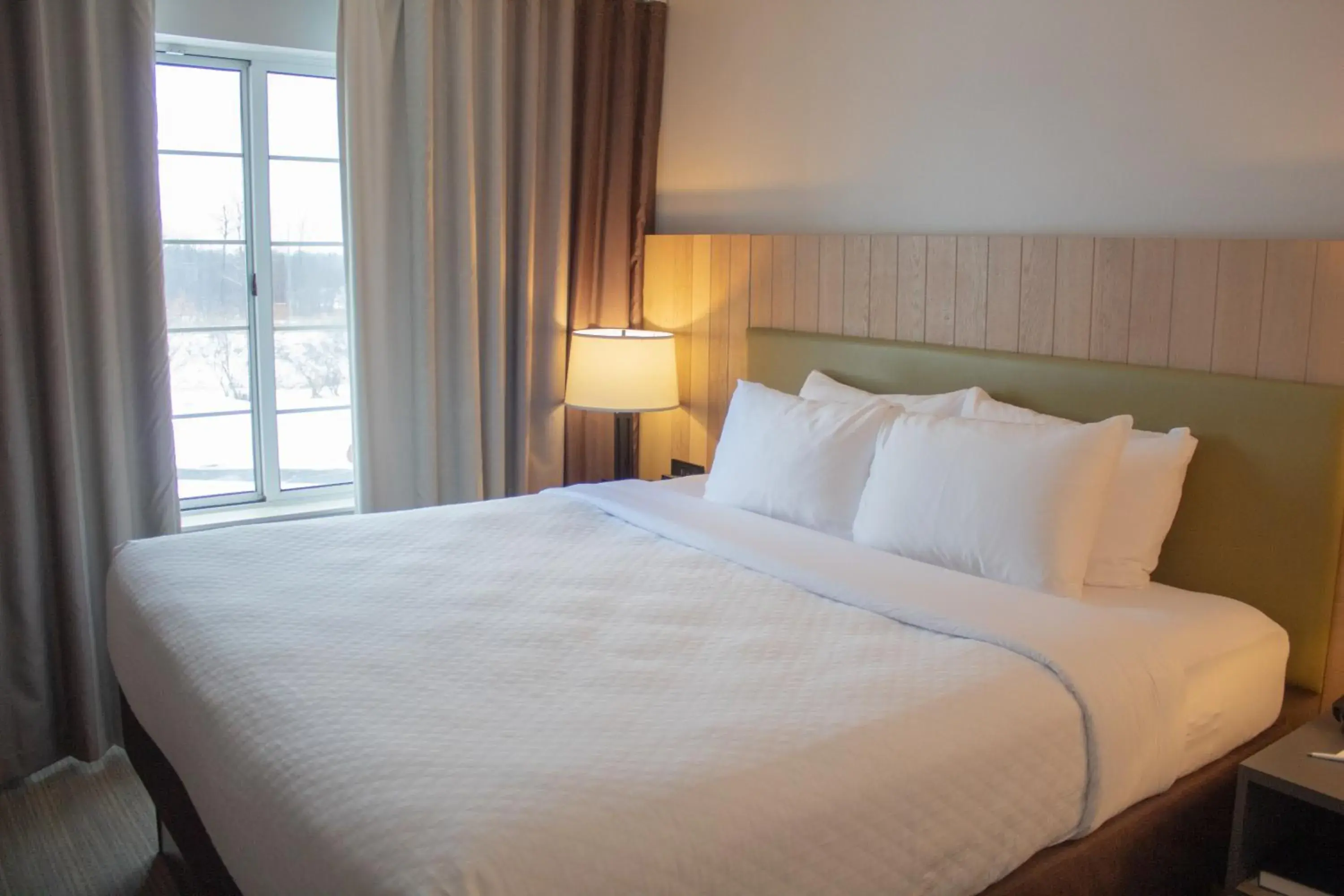 Bed in Country Inn & Suites by Radisson, Big Rapids, MI Bed in Country Inn & Suites by Radisson, Big Rapids, MI