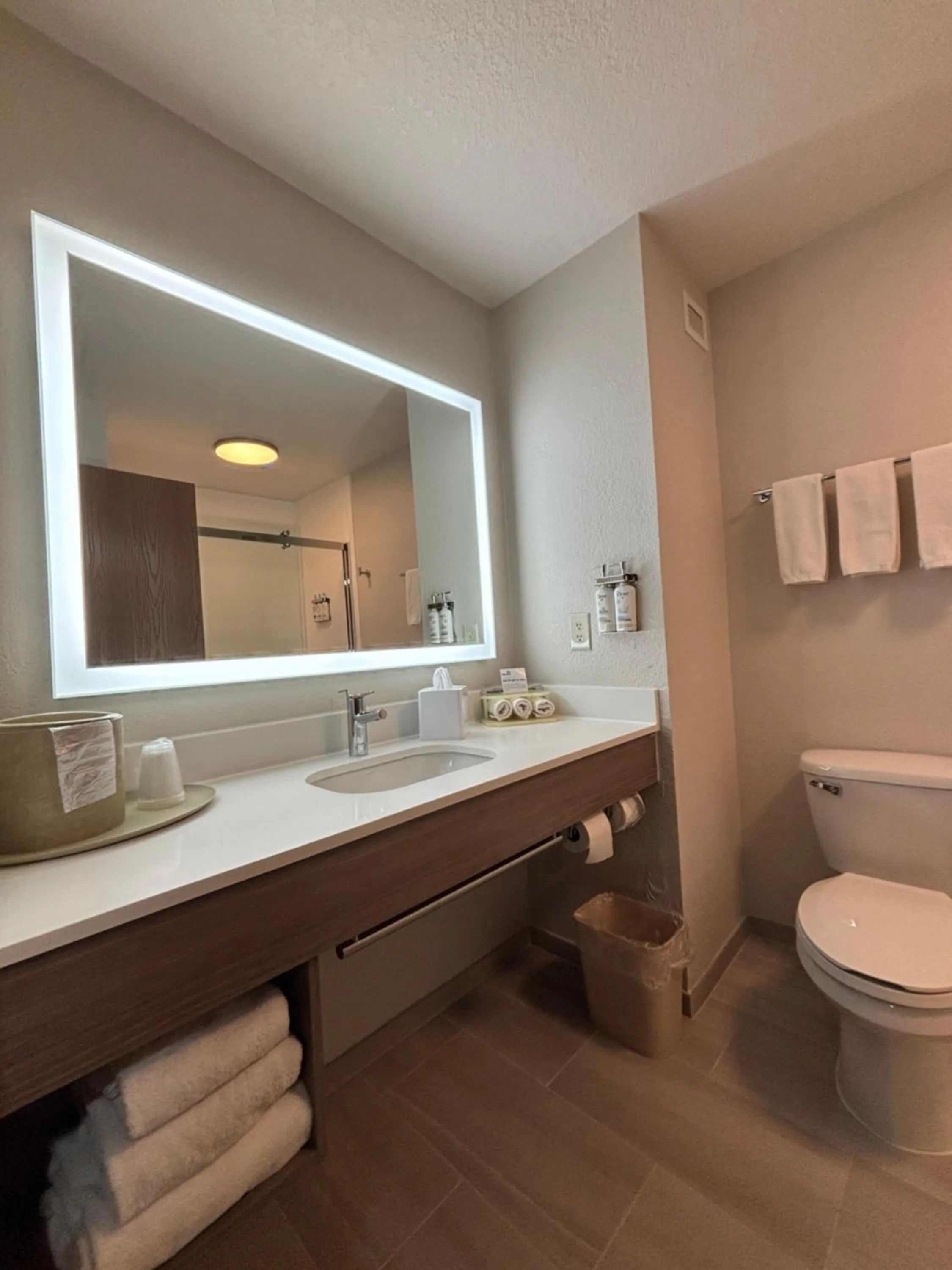 Toilet in Holiday Inn Express & Suites Truth Or Consequences by IHG