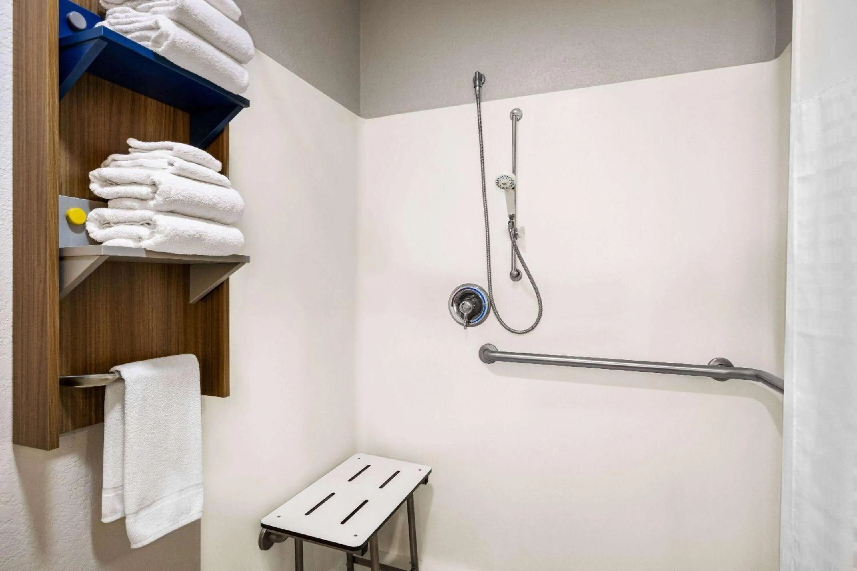 Shower in Microtel Inn & Suites by Wyndham New Ulm