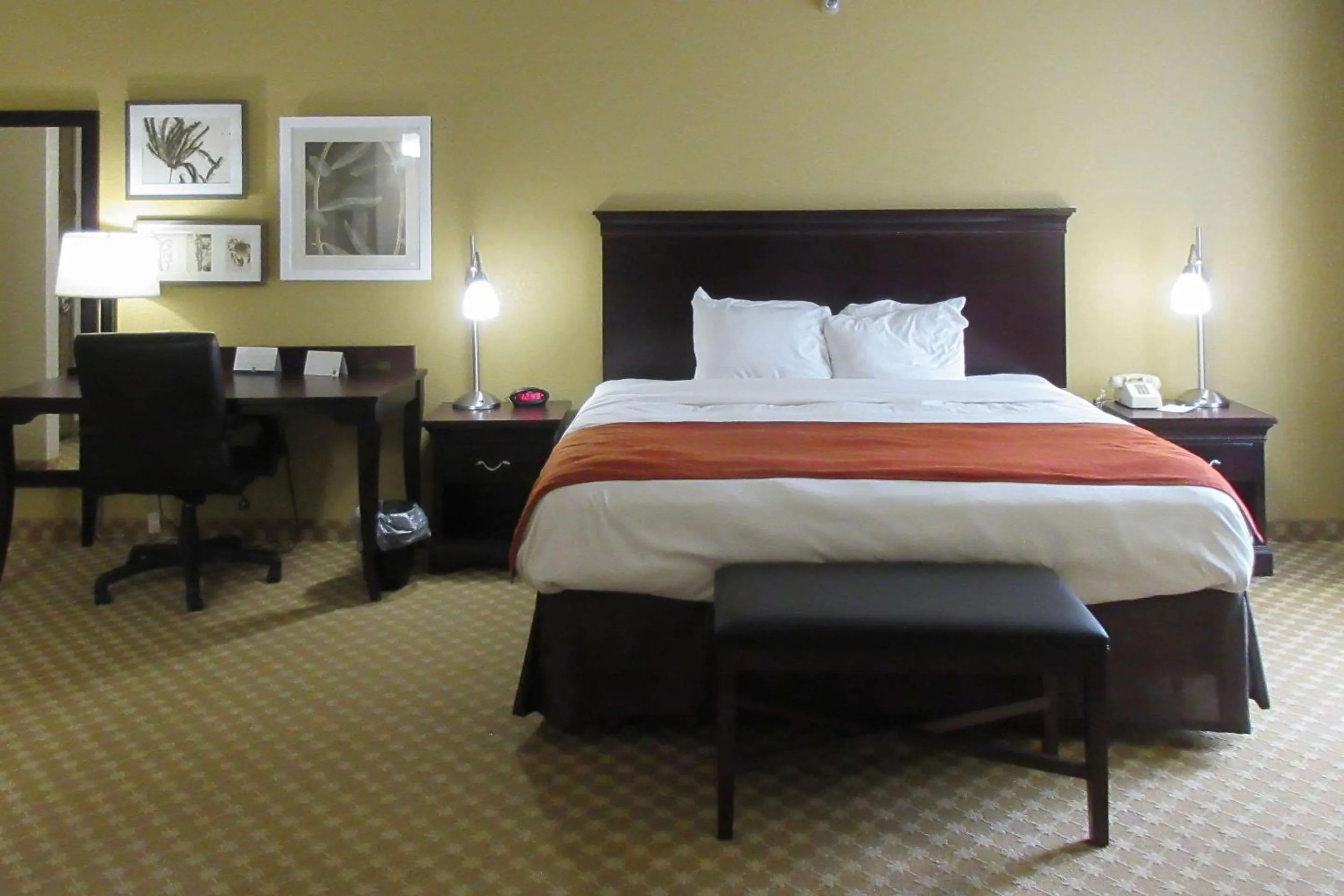 Photo of the whole room, Bed in Quality Inn & Suites Alexandria