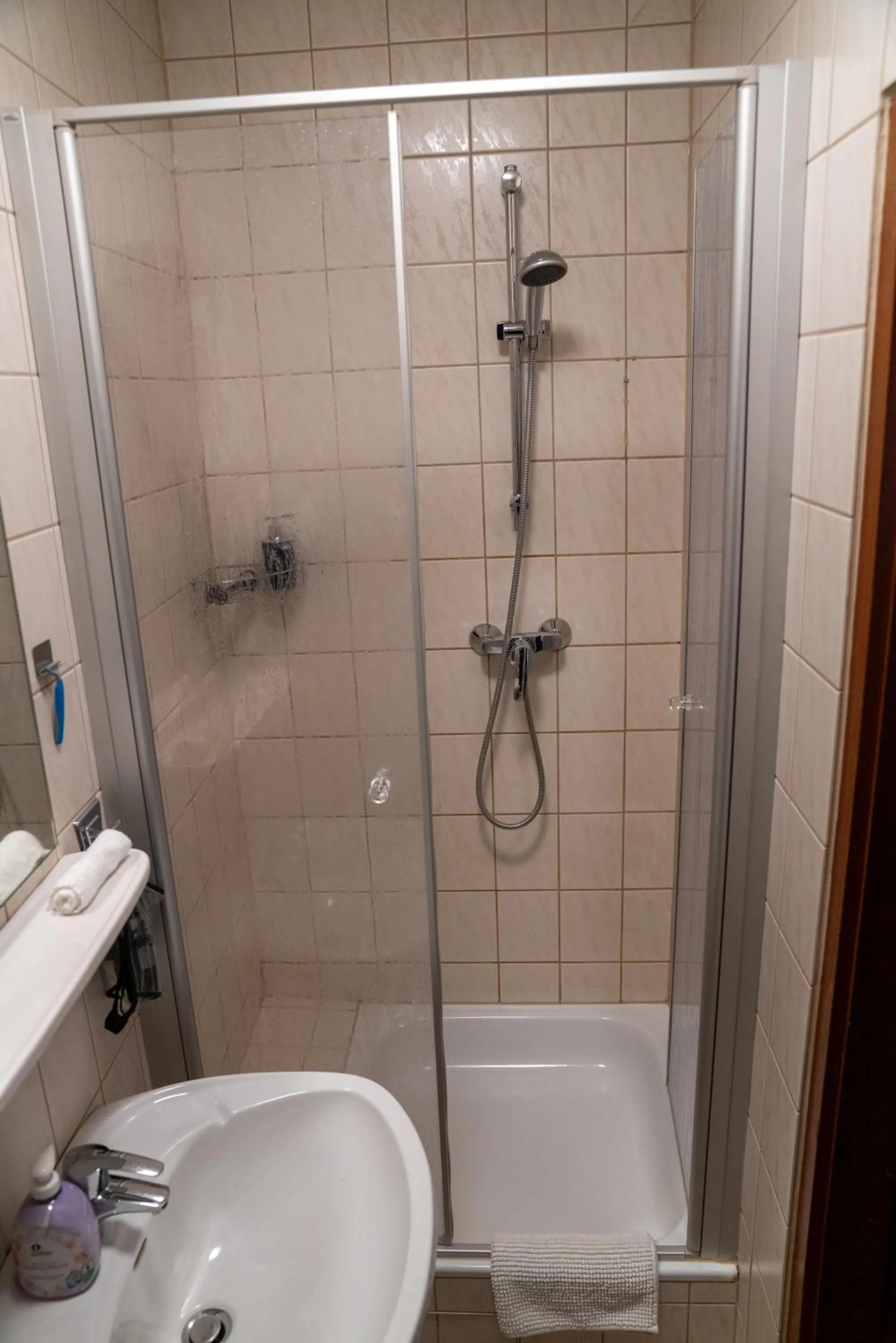 Shower in Hotel zum Grafen Hallermunt