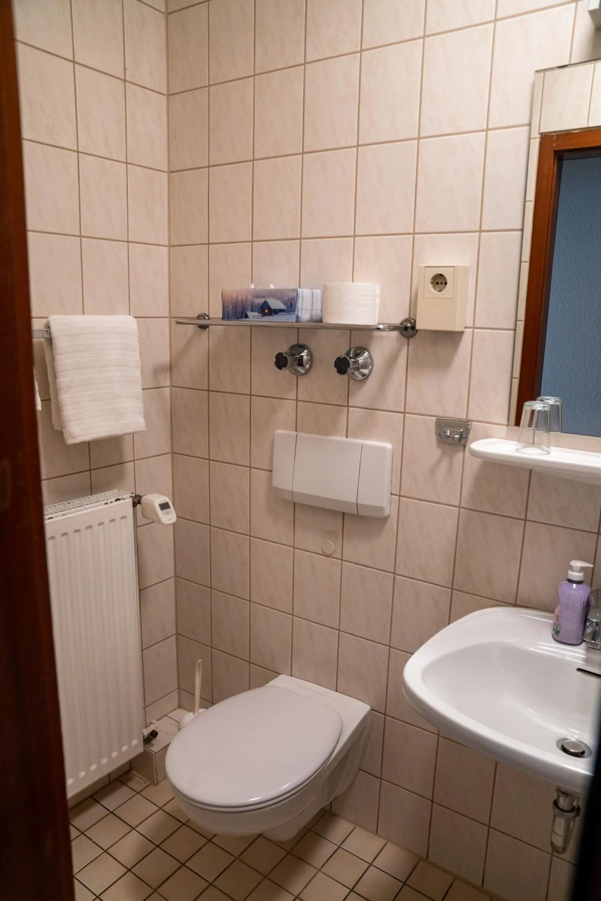 Toilet in Hotel zum Grafen Hallermunt