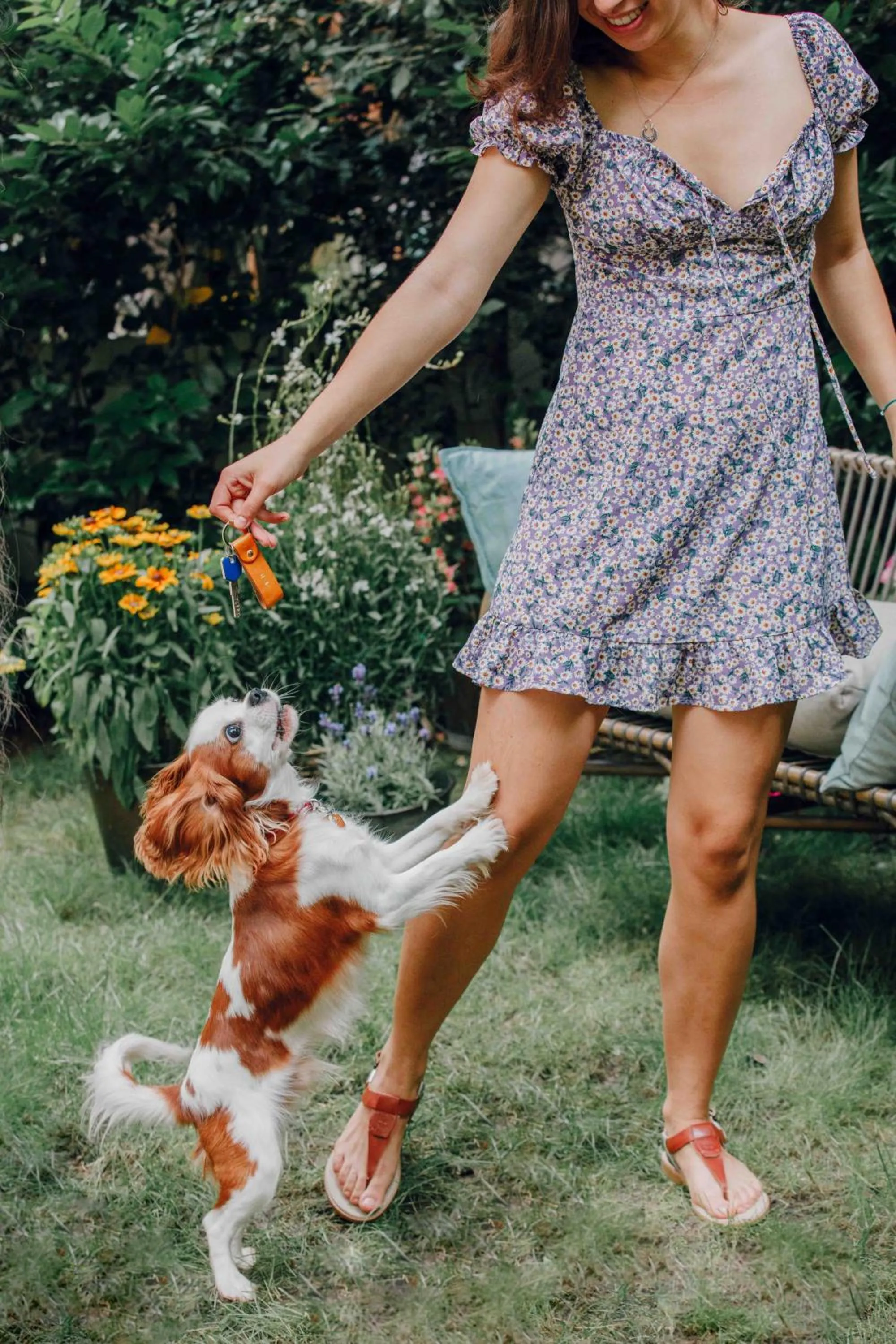 Pets in PEPPER & PAPER Apartments