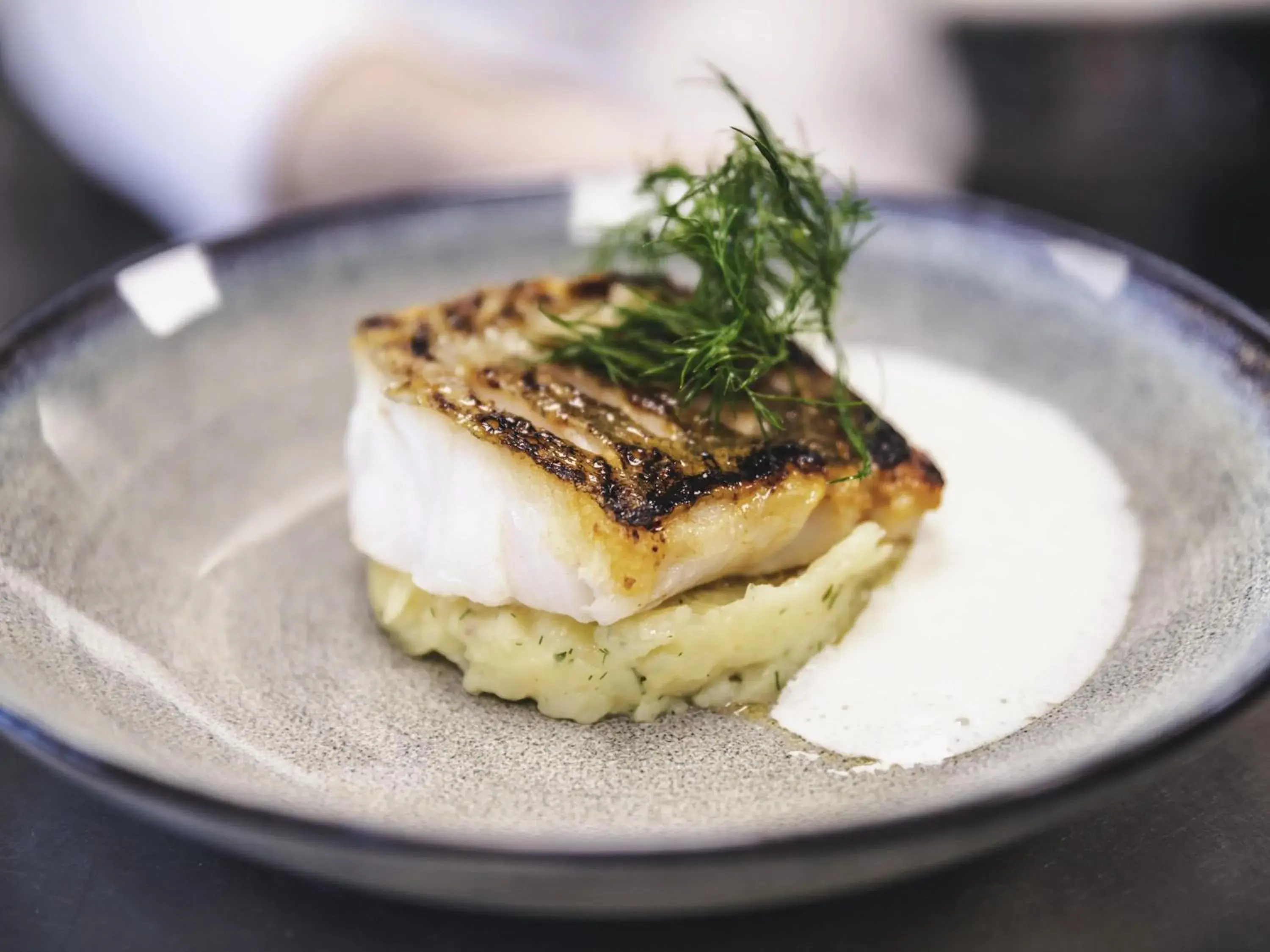 Restaurant/places to eat in Sainte-Barbe Hotel & Spa Le Conquet - MGallery Collection Restaurant/places to eat in Sainte-Barbe Hotel & Spa Le Conquet - MGallery Collection