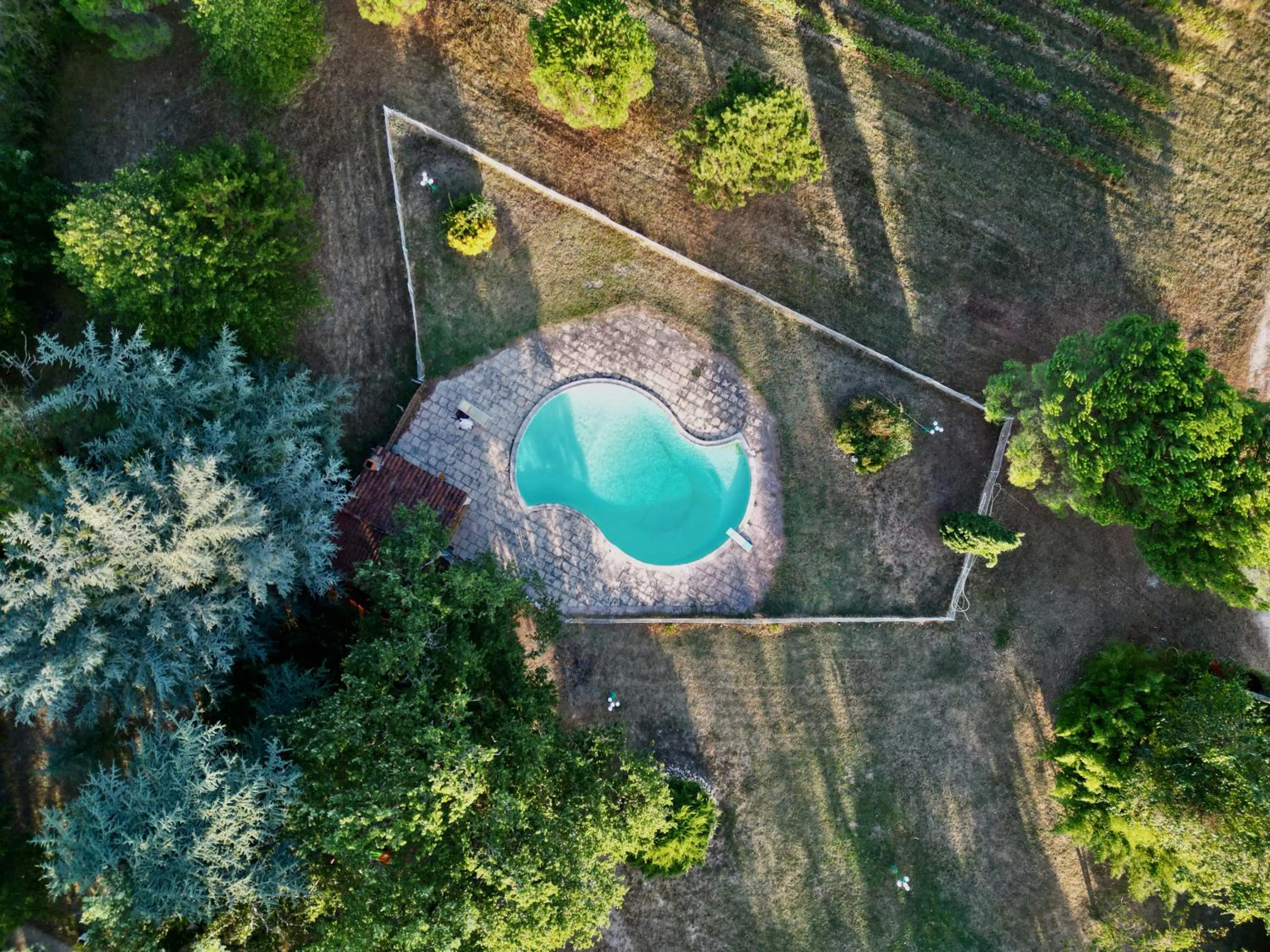 Pool view in CHATEAU LA LOGE