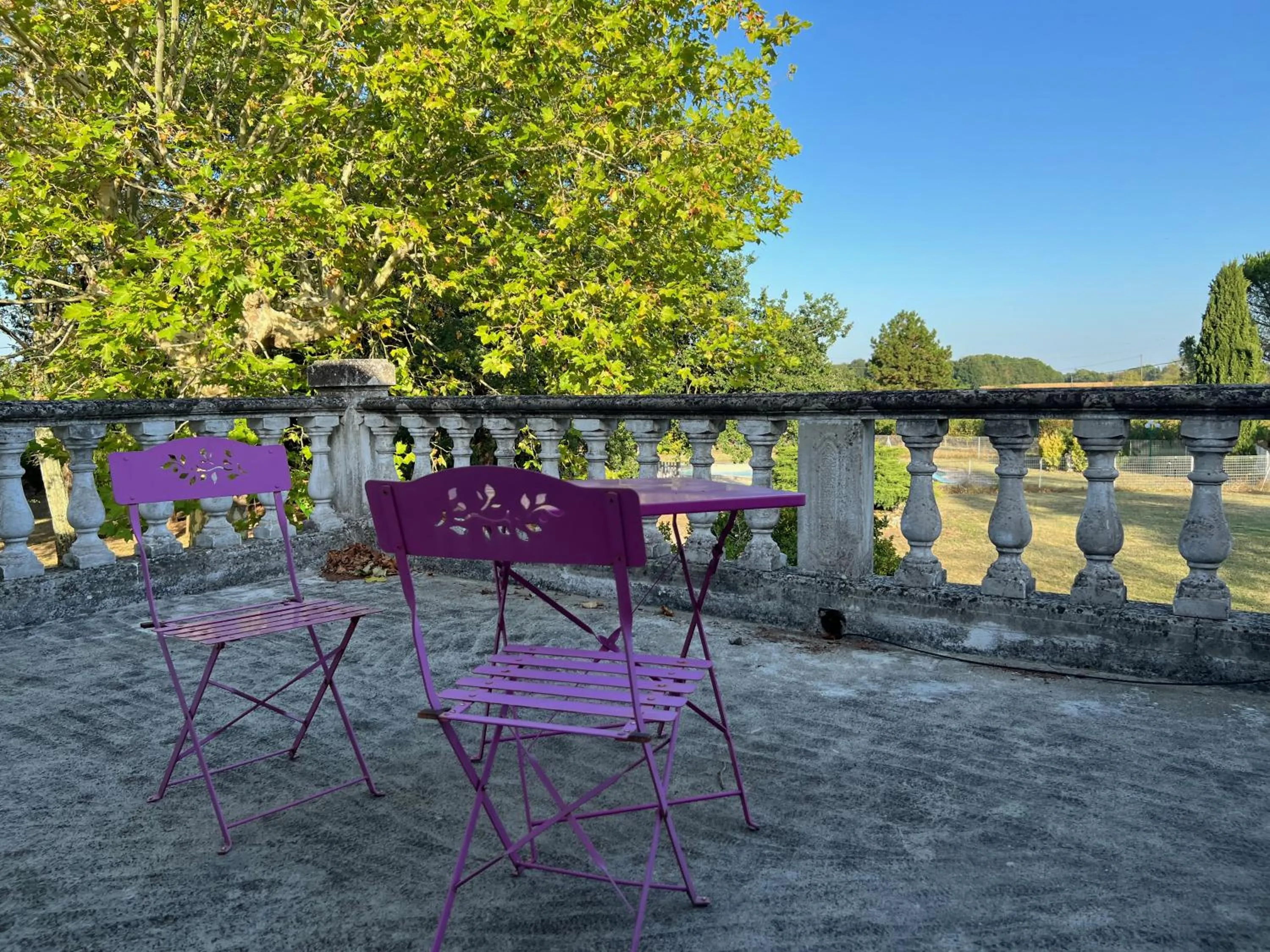 Balcony/Terrace in CHATEAU LA LOGE