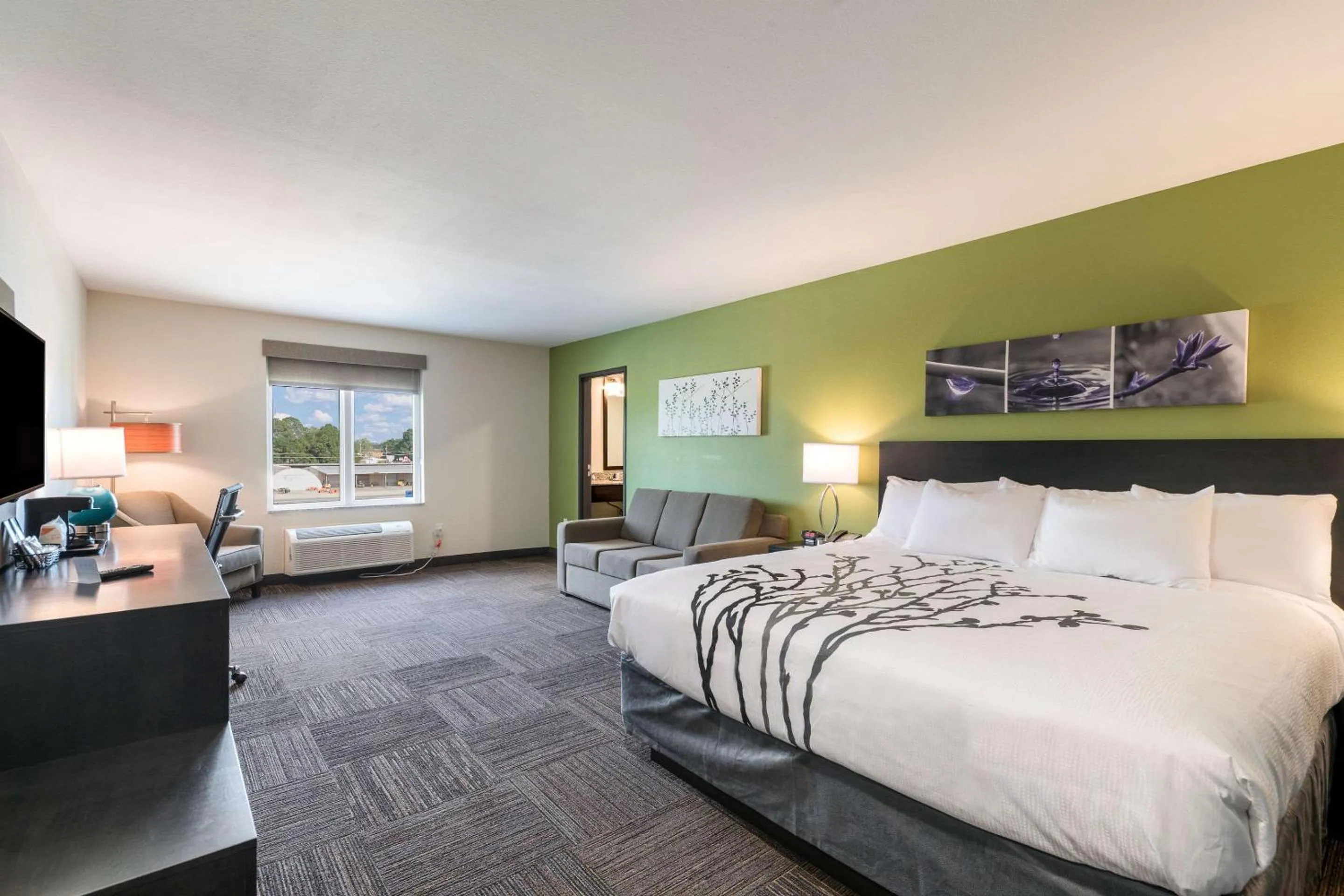 Photo of the whole room, Bed in Sleep Inn Baxley