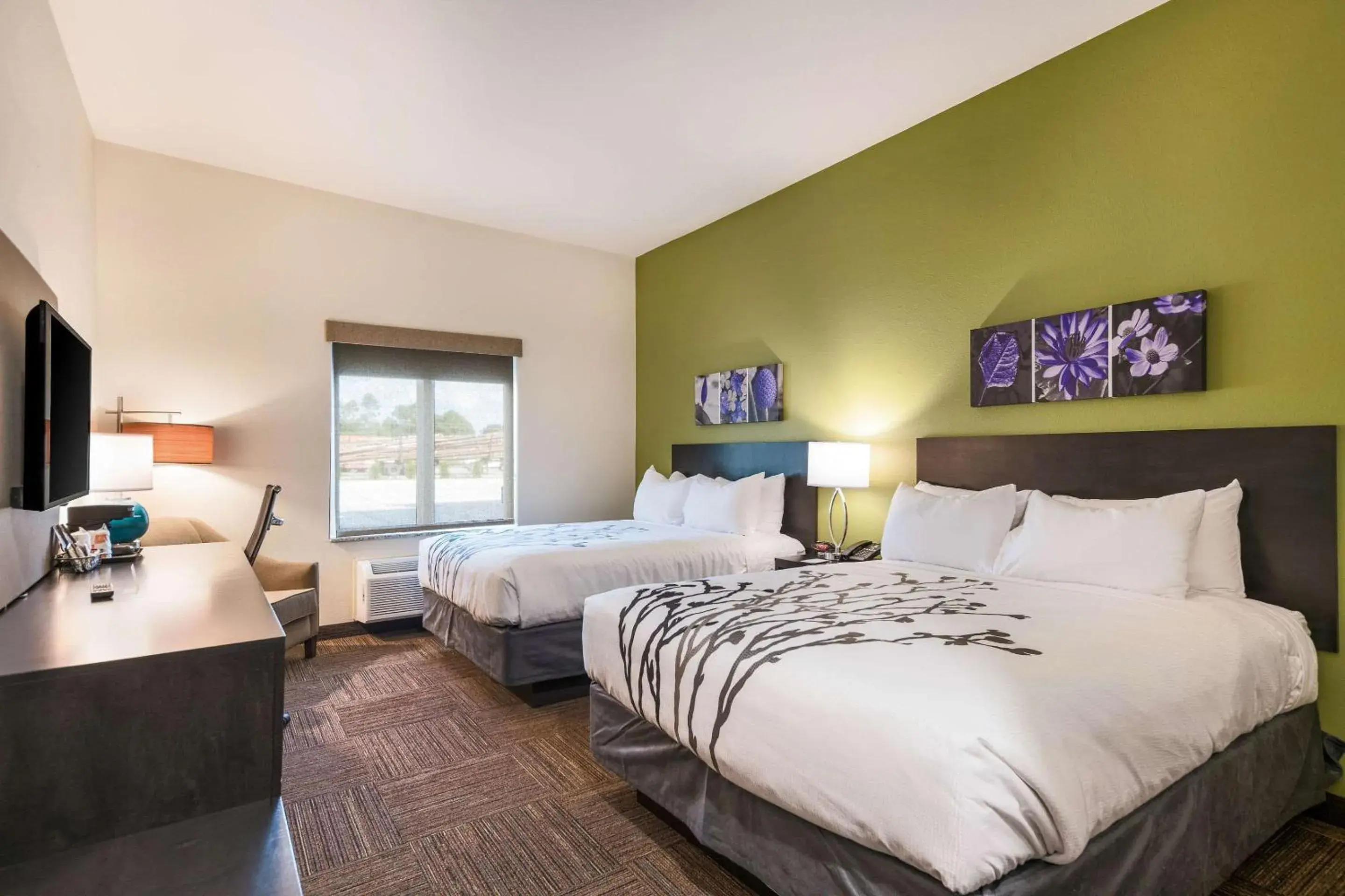 Queen Room with Two Queen Beds - Non-Smoking in Sleep Inn Baxley Queen Room with Two Queen Beds - Non-Smoking in Sleep Inn Baxley