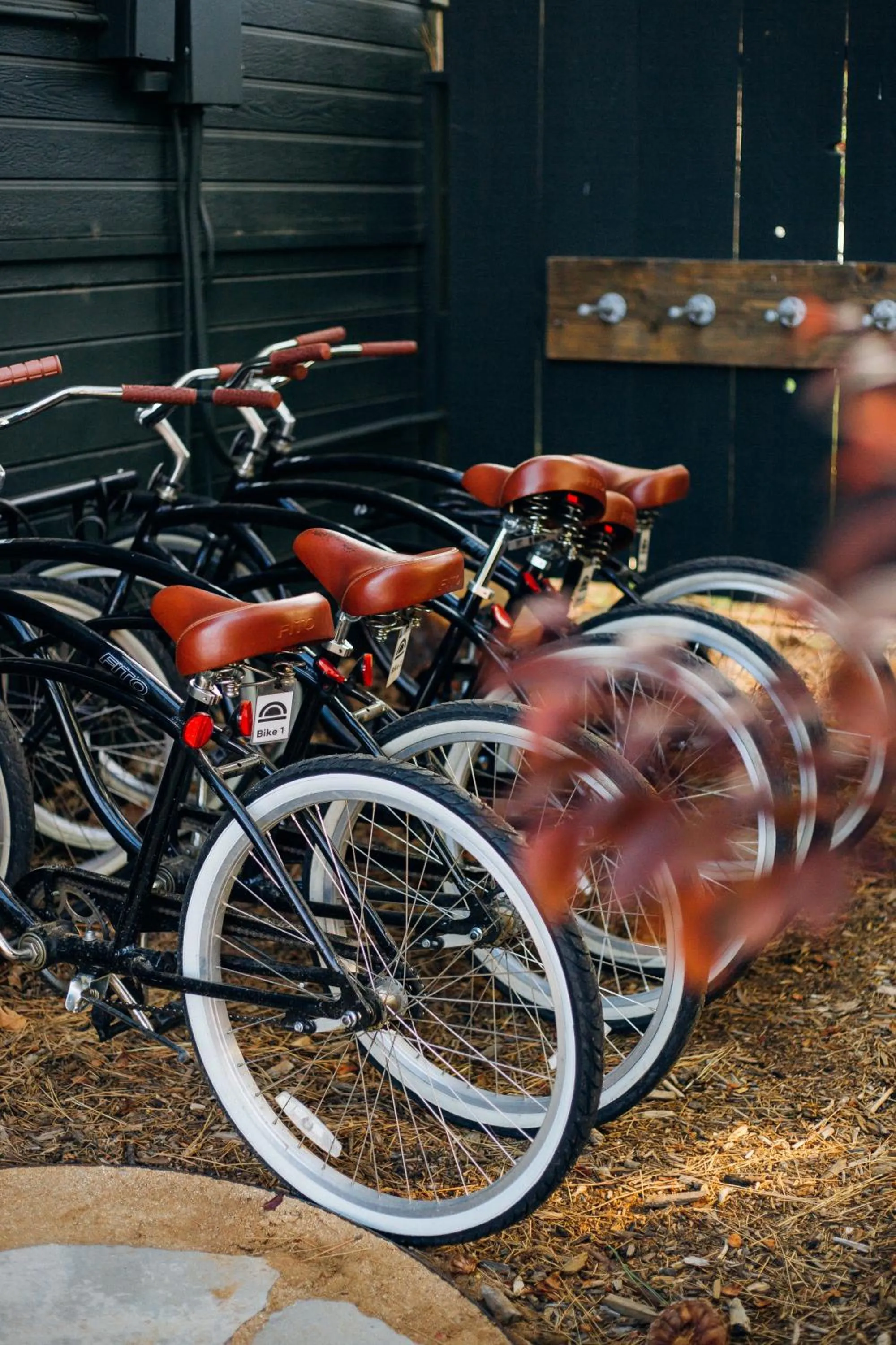 Activities in Noon Lodge