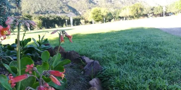 Garden in The Gamtoos Ferry Hotel