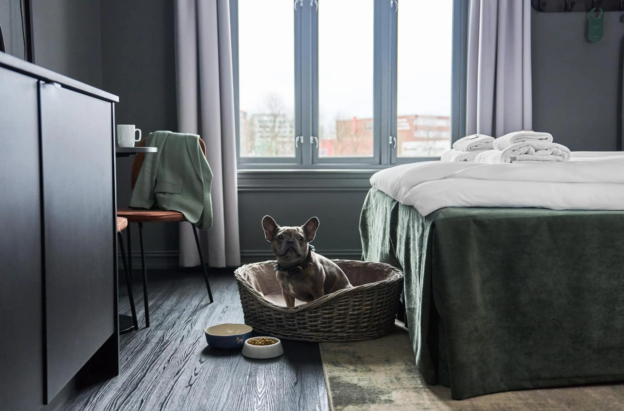Pets, Bed in Hotel Filip