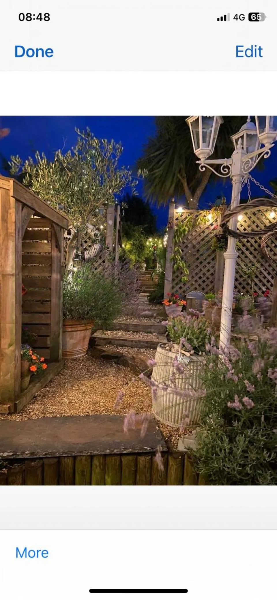 Stargazy Garden