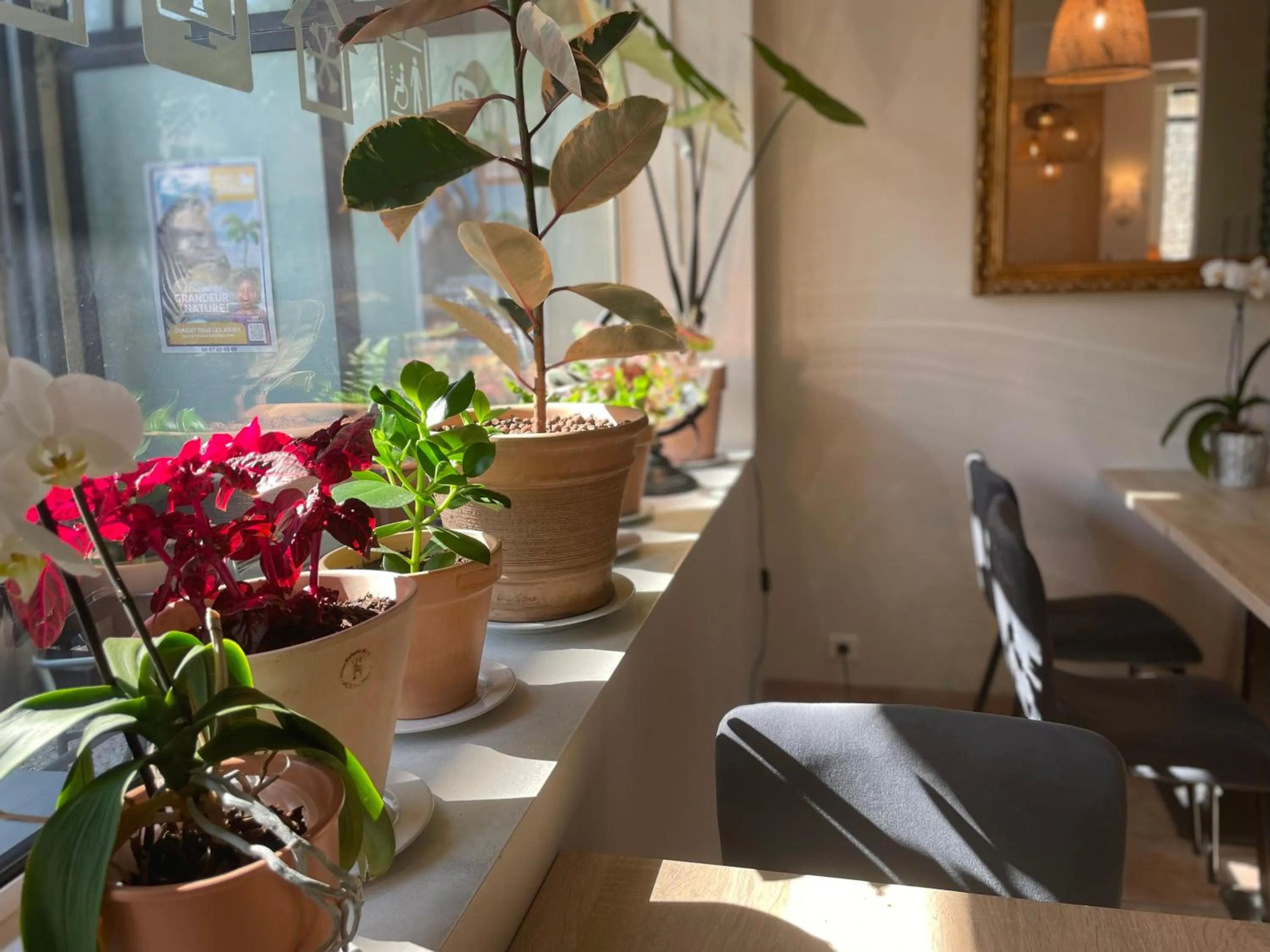 Continental breakfast in Brit Hotel Acacias