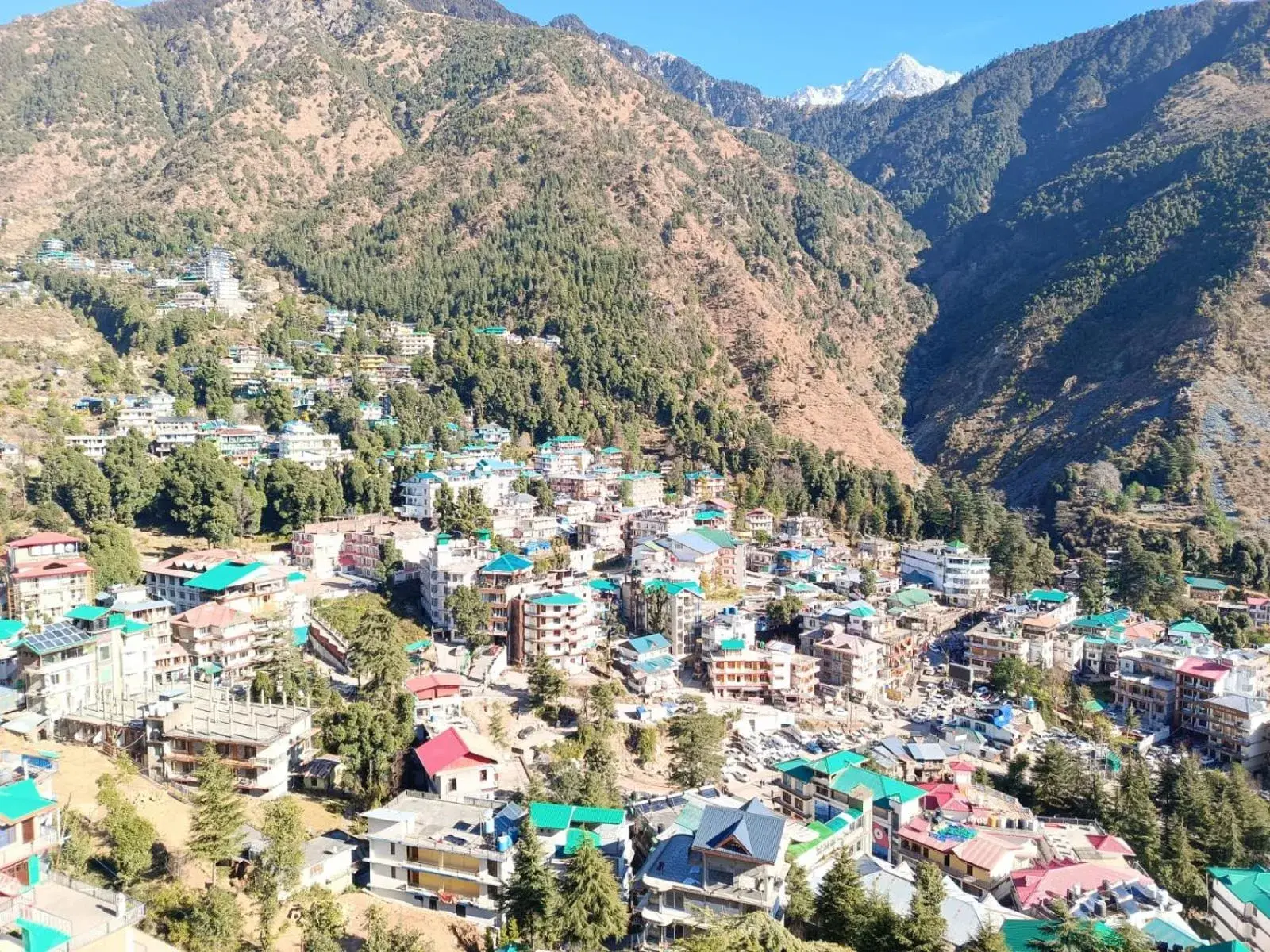 View (from property/room) in White Water Inn Mcleodganj View (from property/room) in White Water Inn Mcleodganj