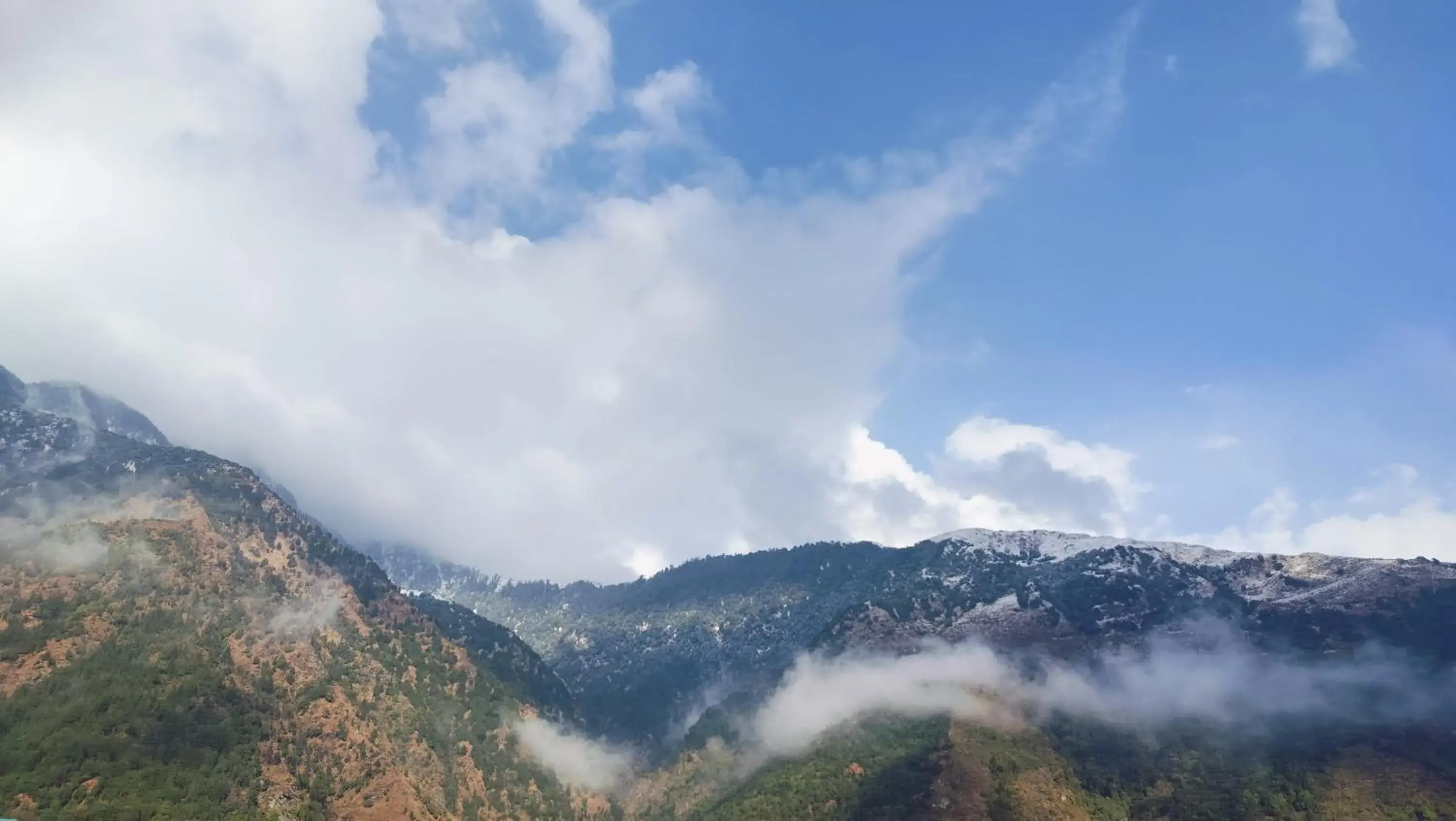 White Water Inn Mcleodganj White Water Inn Mcleodganj