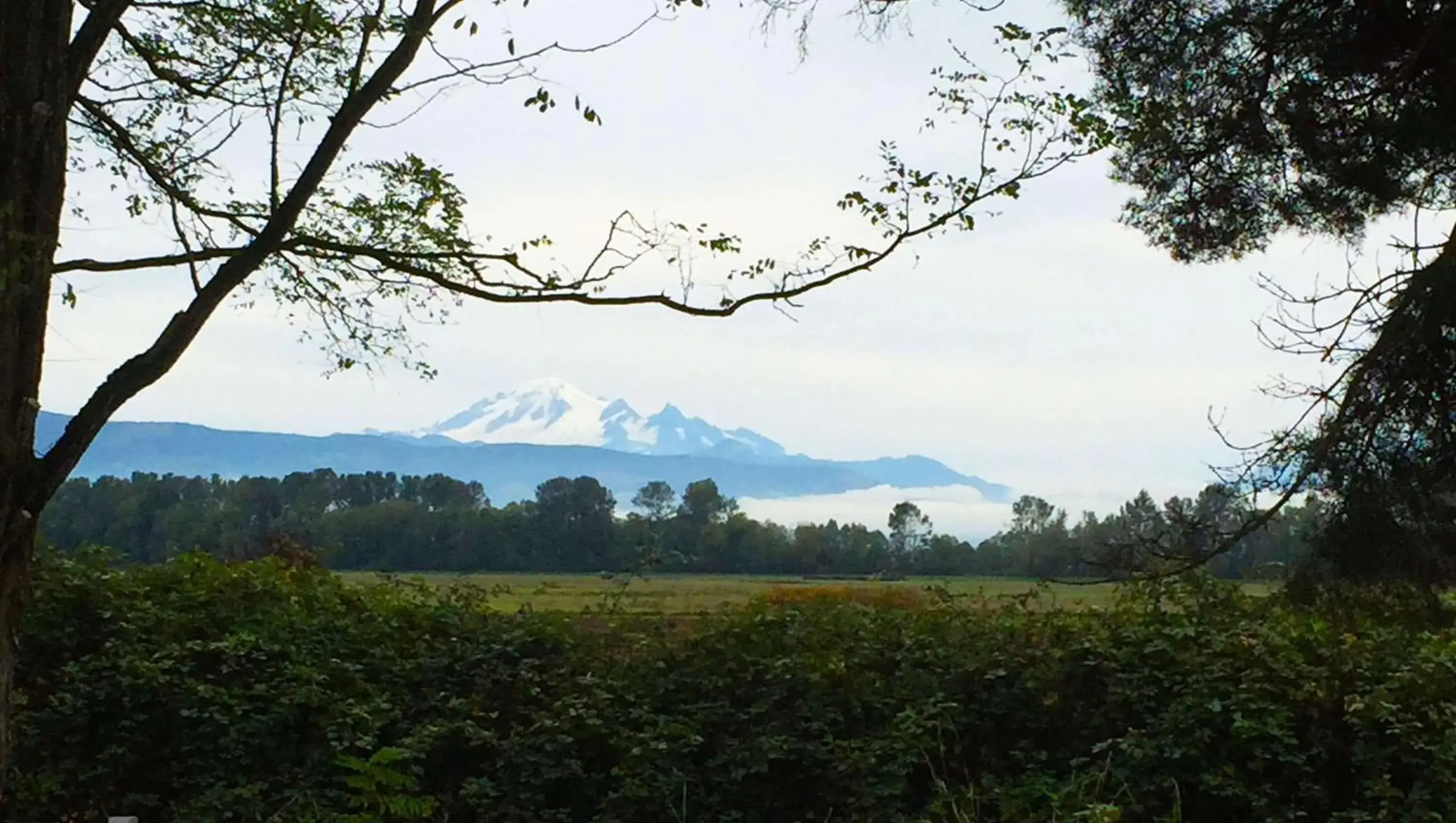 Property building in Windmill Inn Lynden Property building in Windmill Inn Lynden