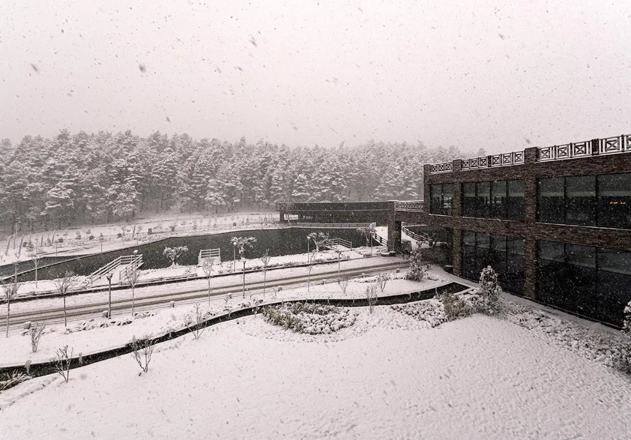 Balcony/Terrace in Elite World Grand Sapanca